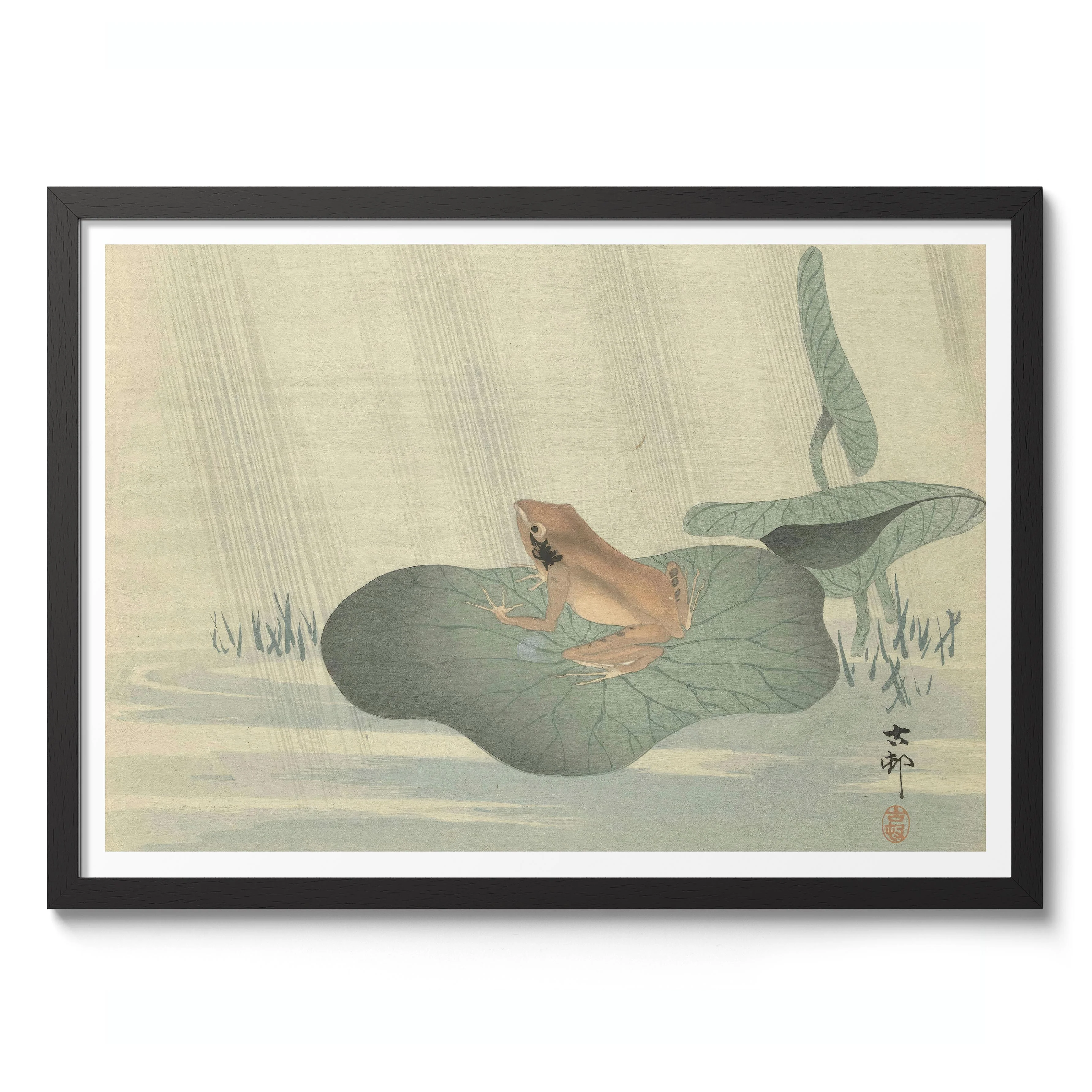 Frog on Lotus Leaf - Image 2