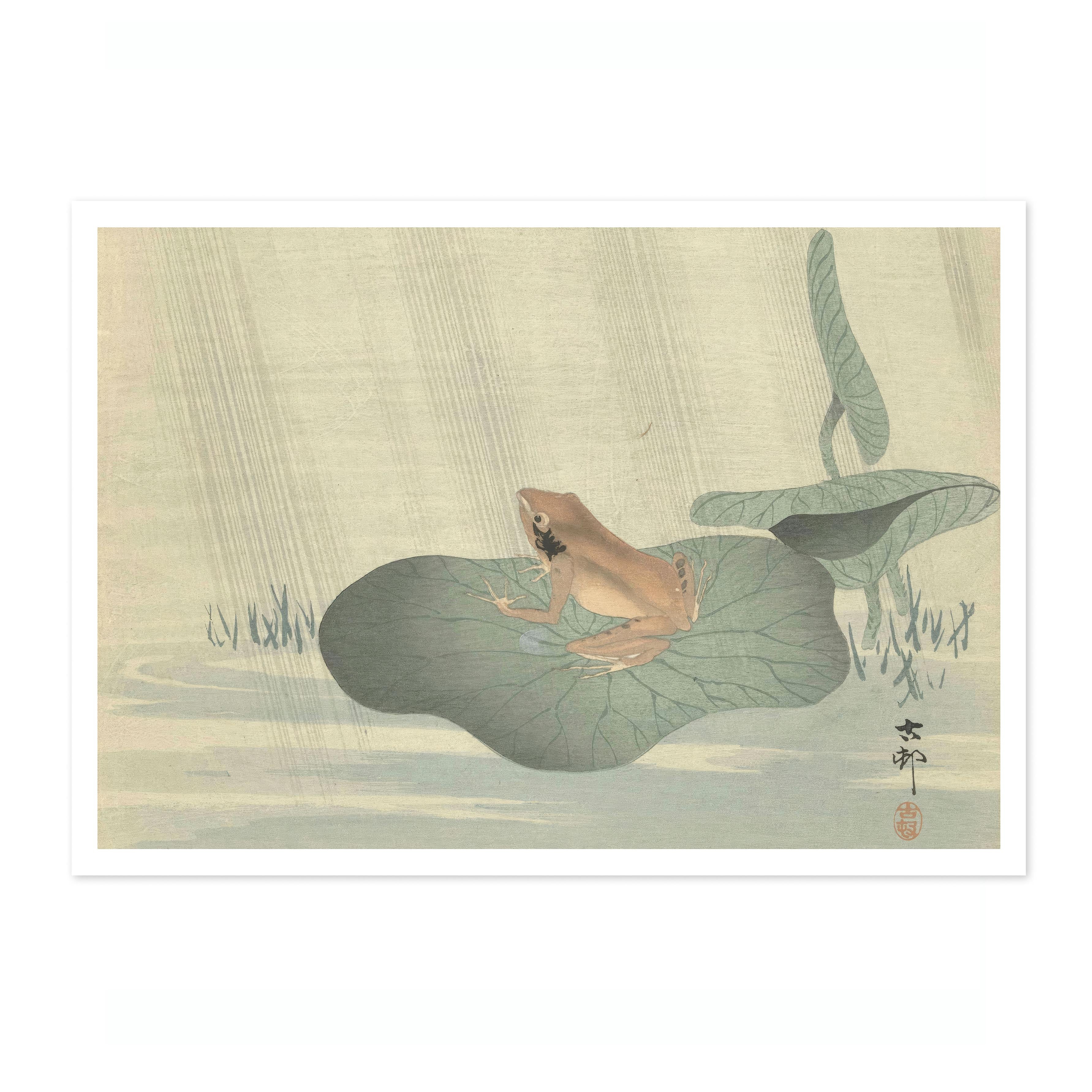 Frog on Lotus Leaf - Image 4