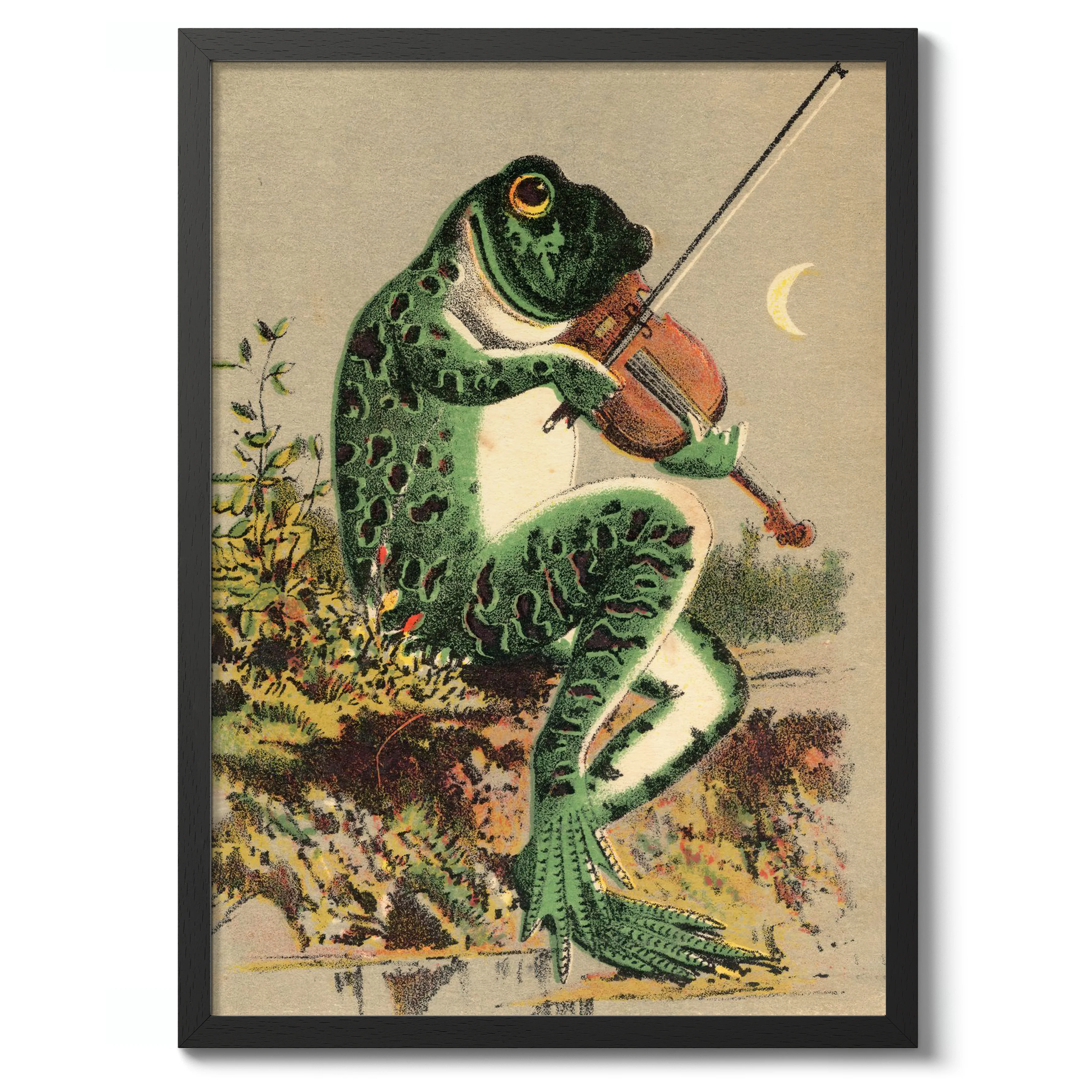 Frog Playing Violin - Image 2