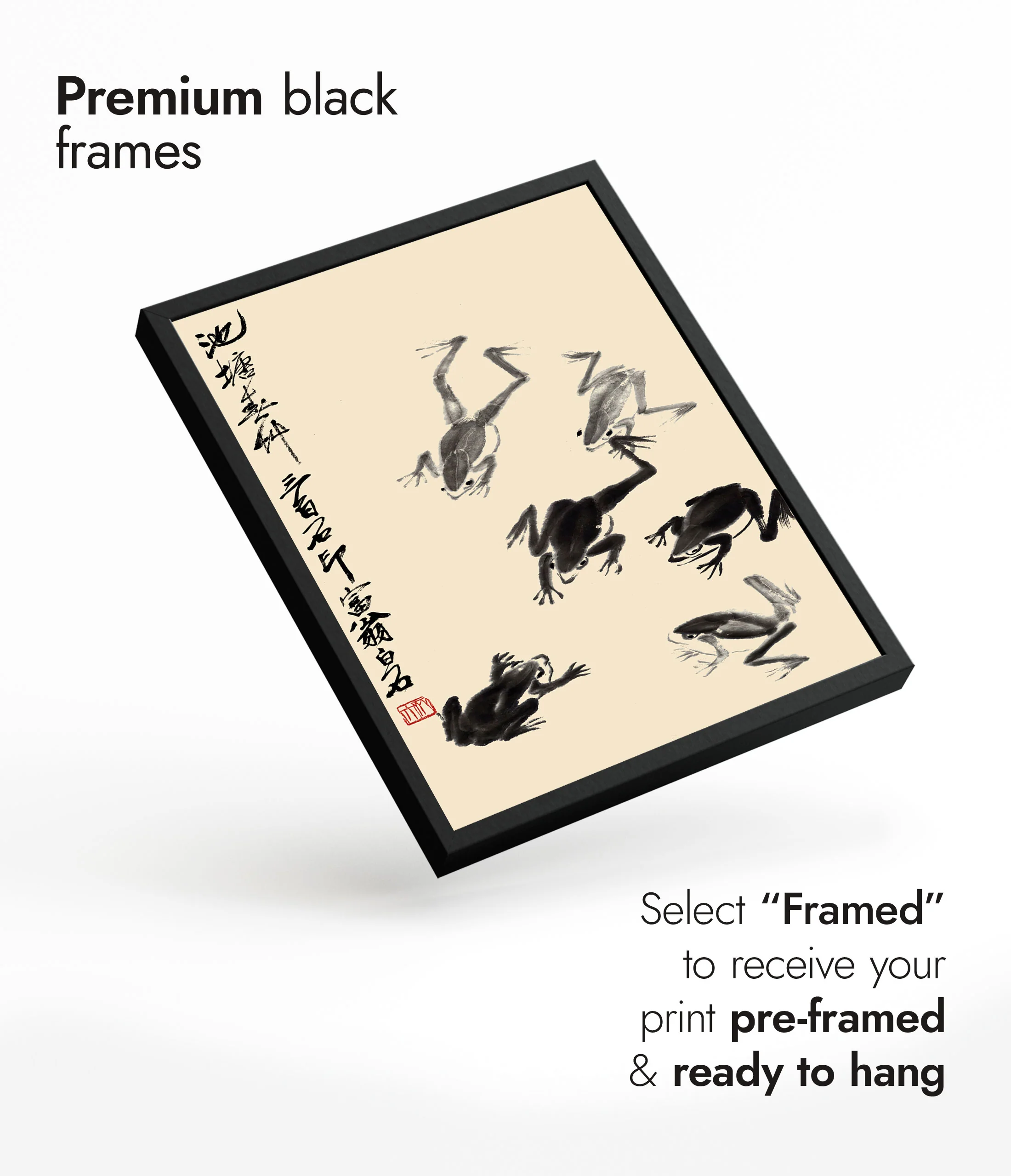 Frogs - Image 7