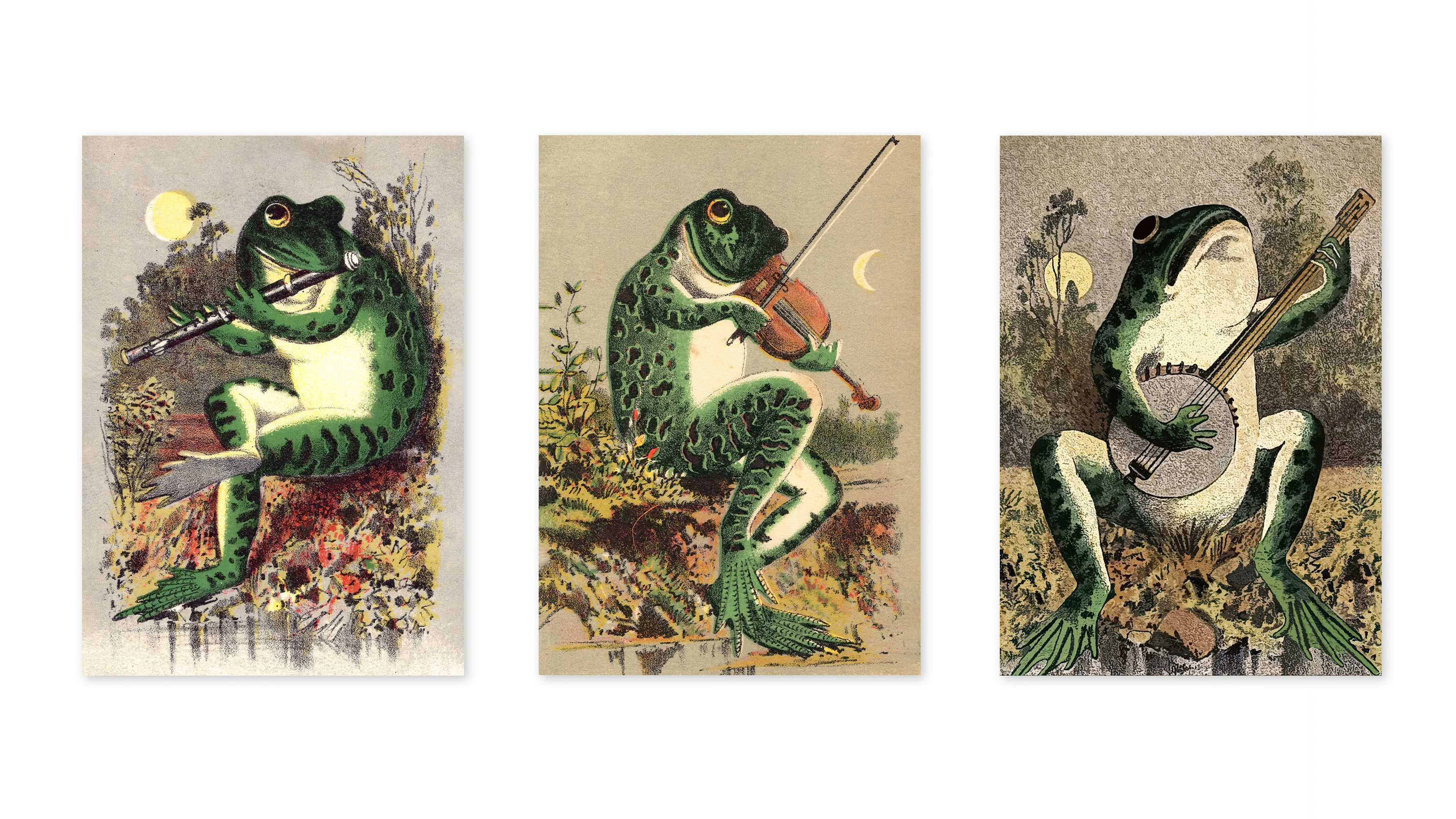 Frogs in the Swamp - Image 3
