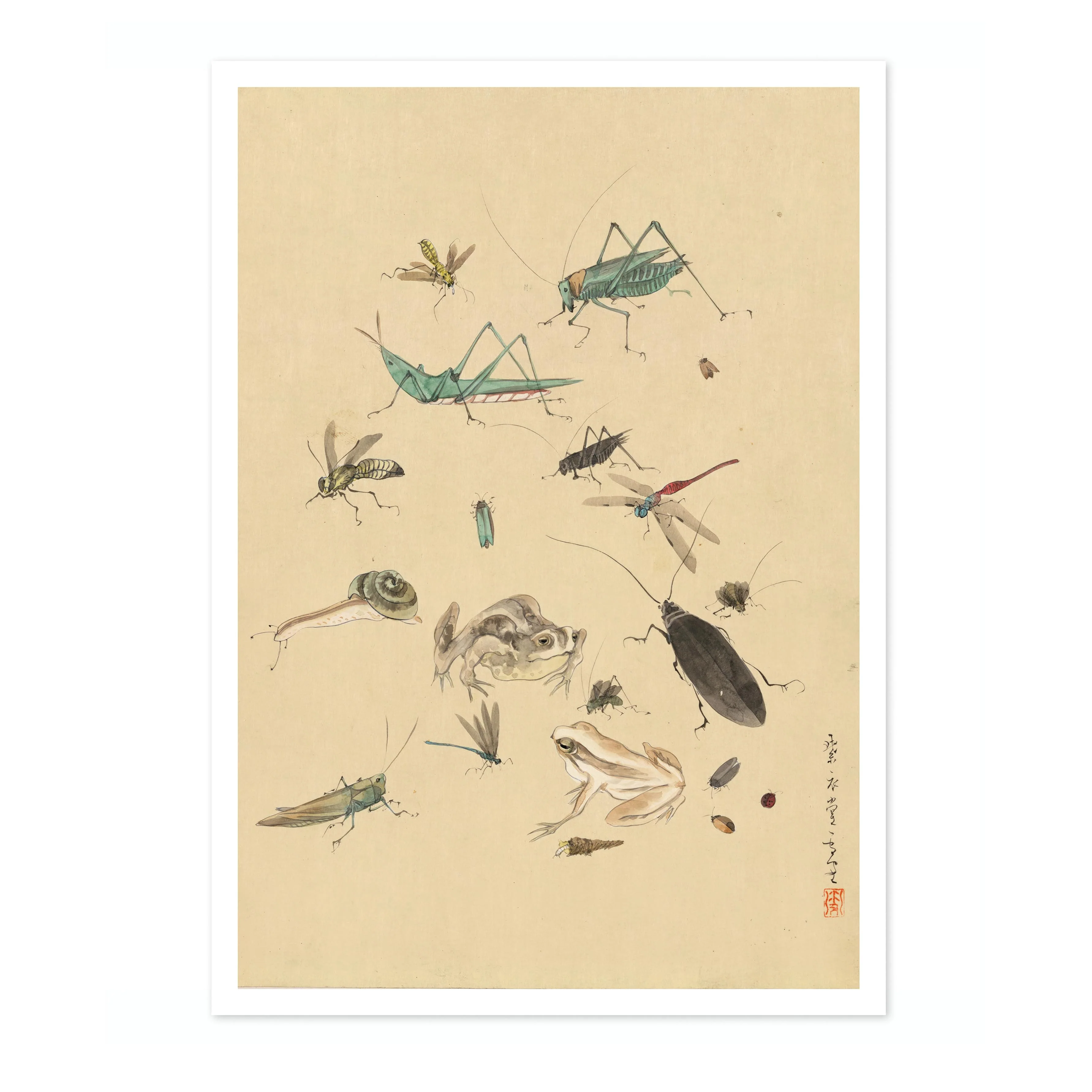 Frogs, Snails & Insects - Image 4