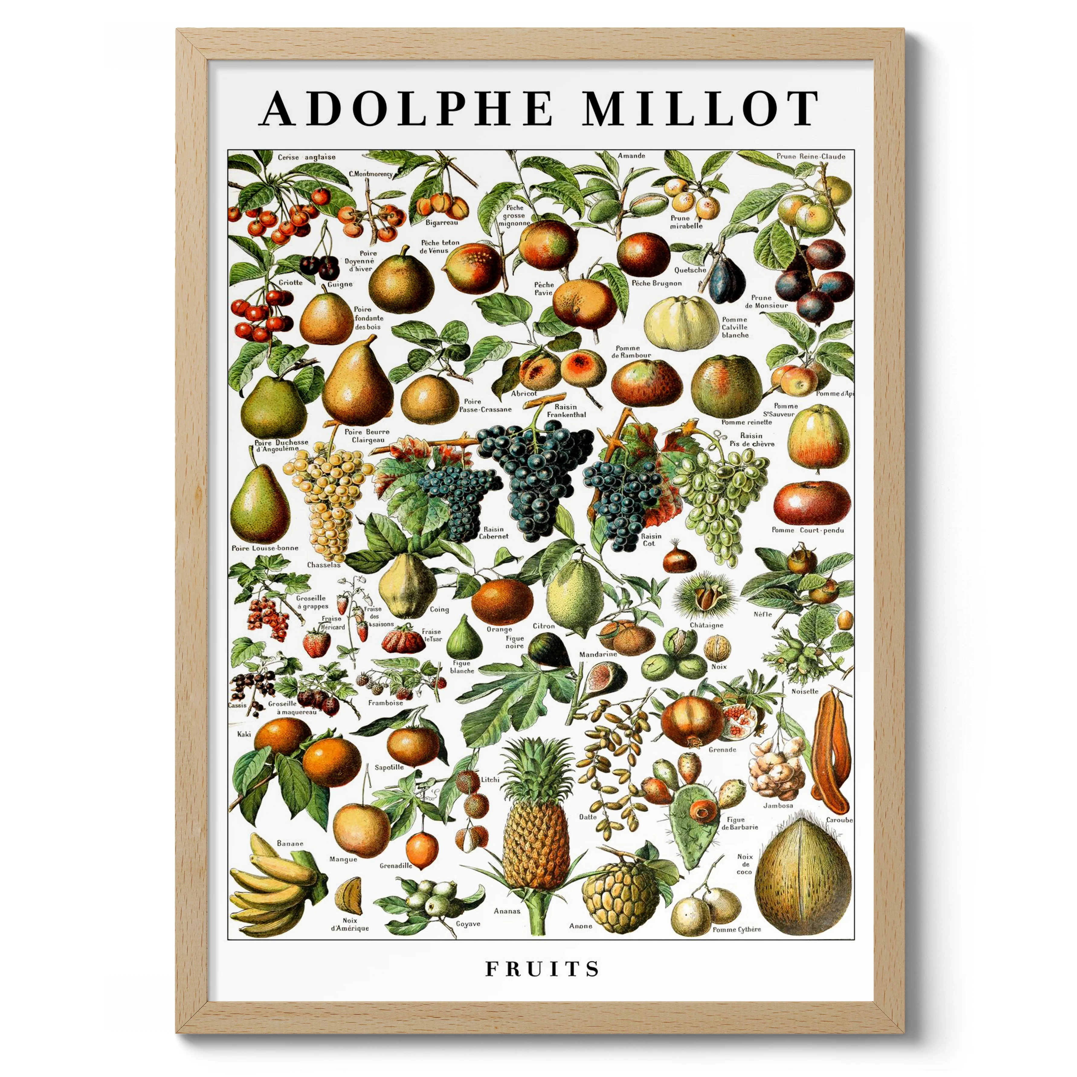 Fruits - Image 3