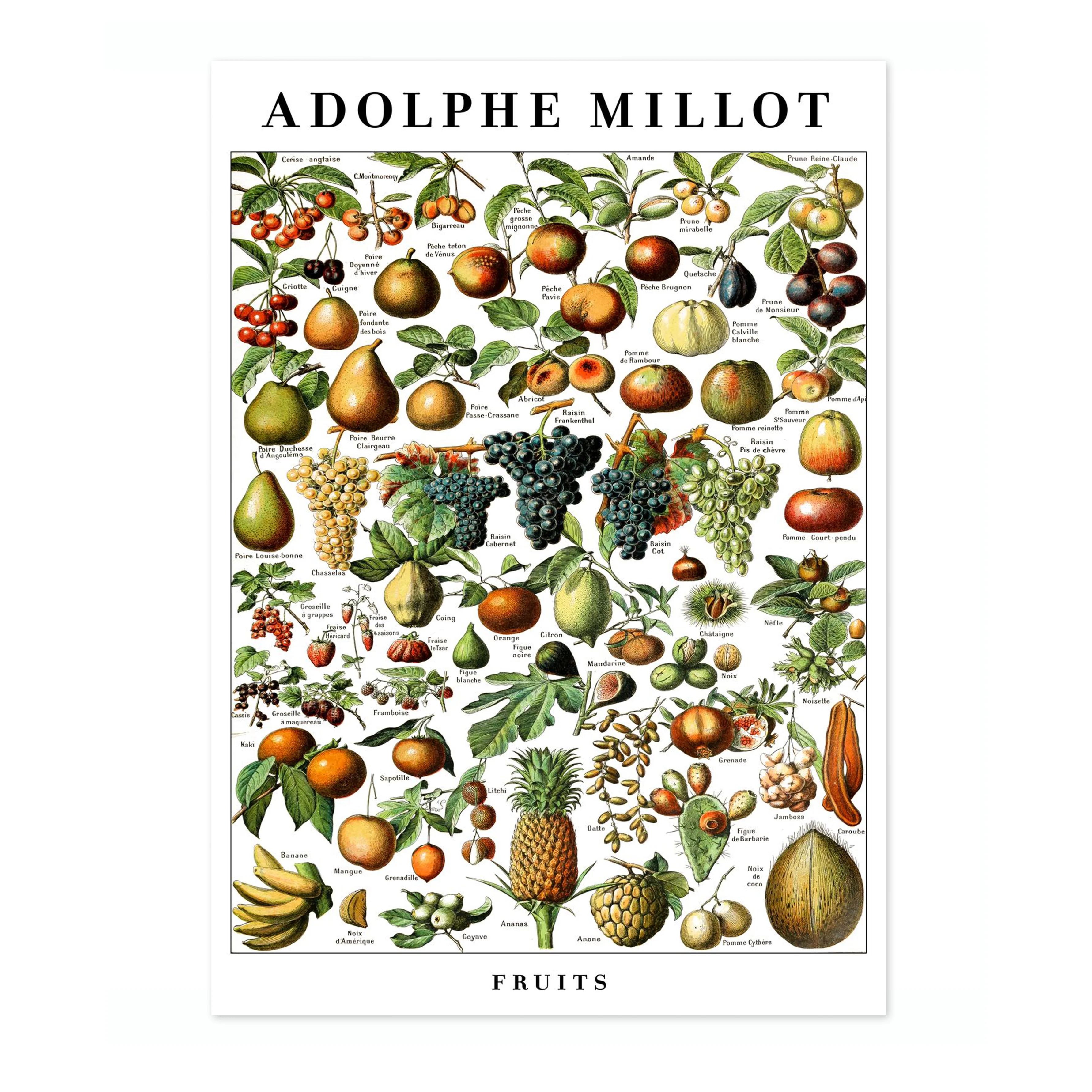 Fruits - Image 4