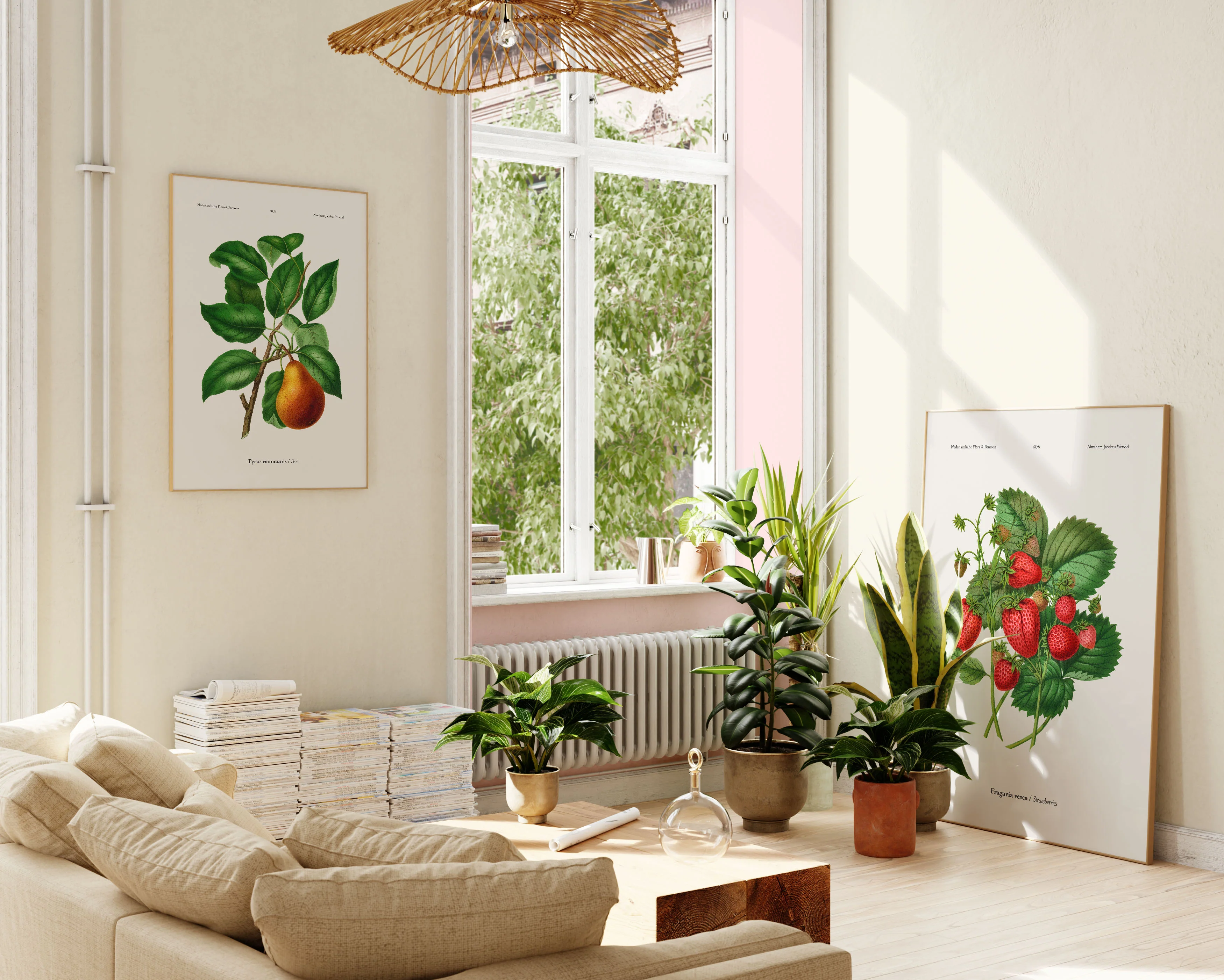 Fruits - Image 4