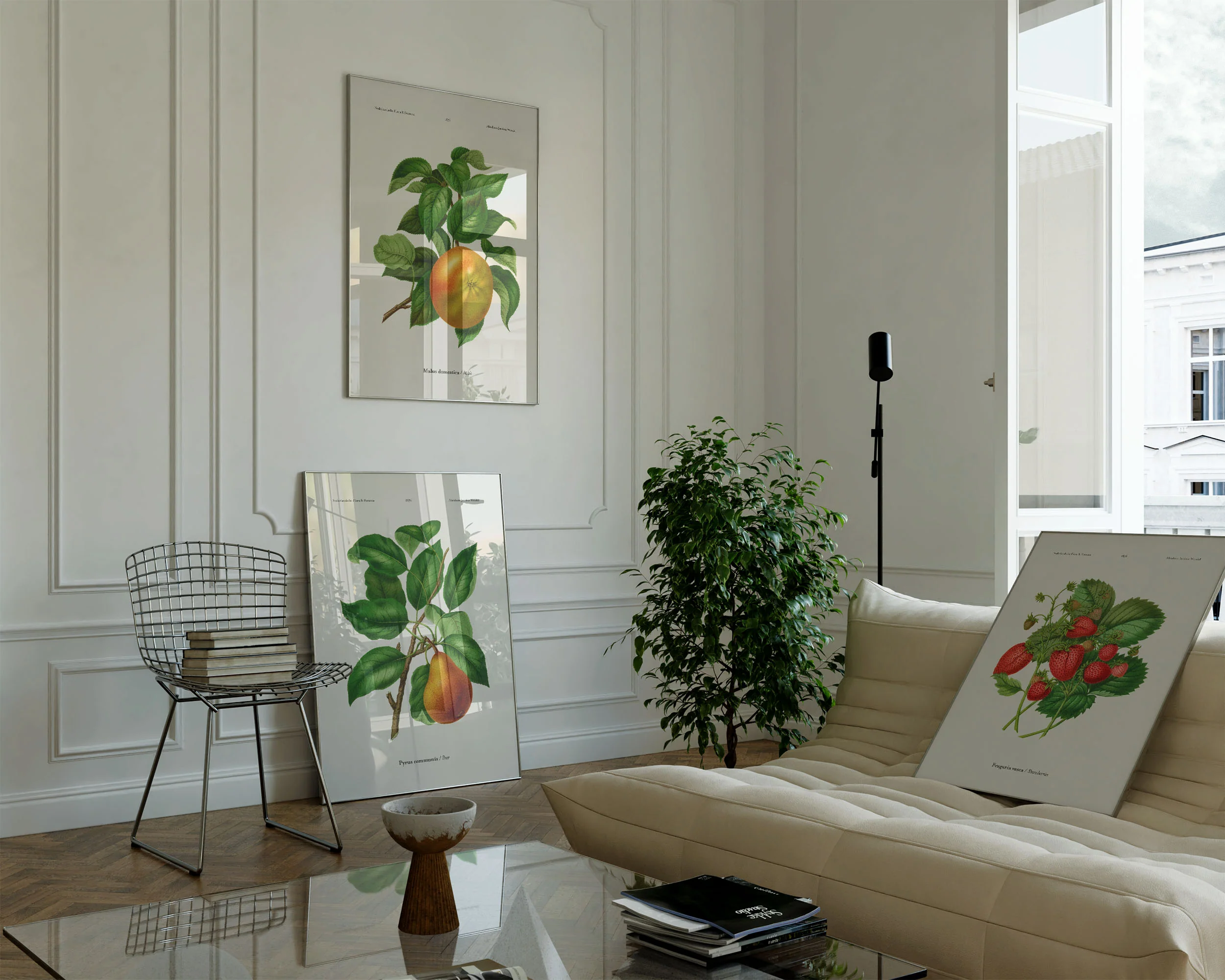Fruits - Image 8