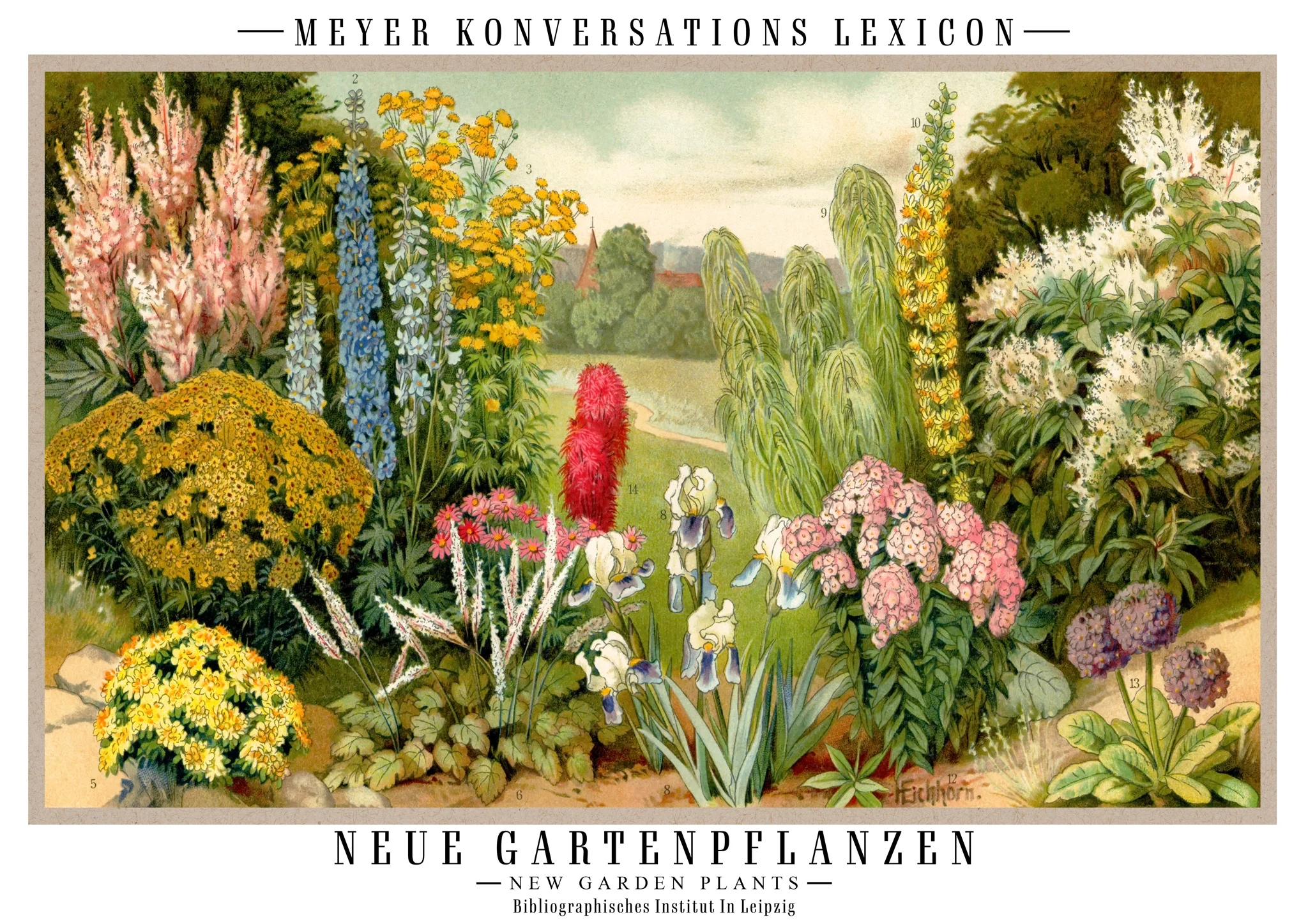 Garden Plants