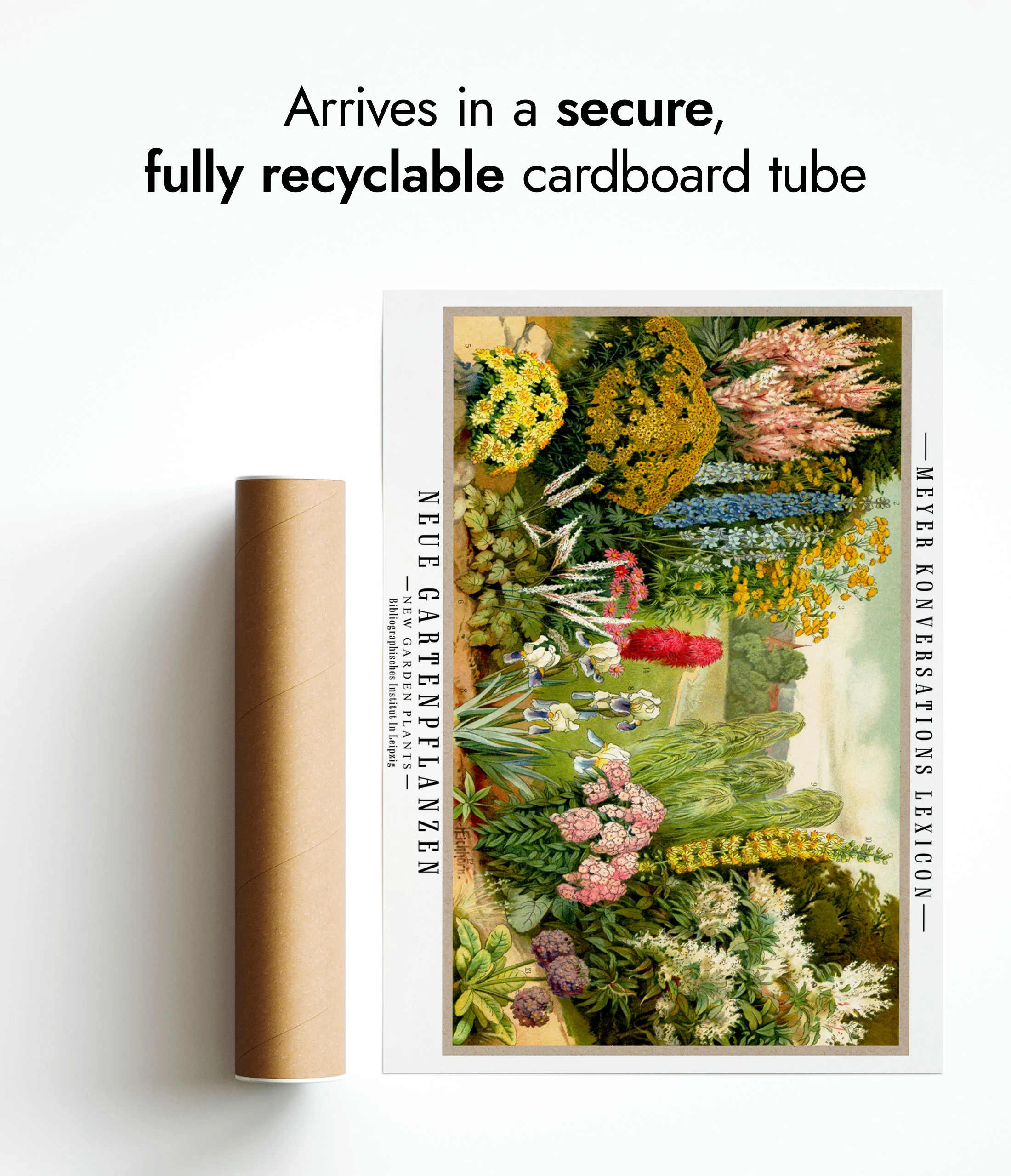 Garden Plants - Image 9