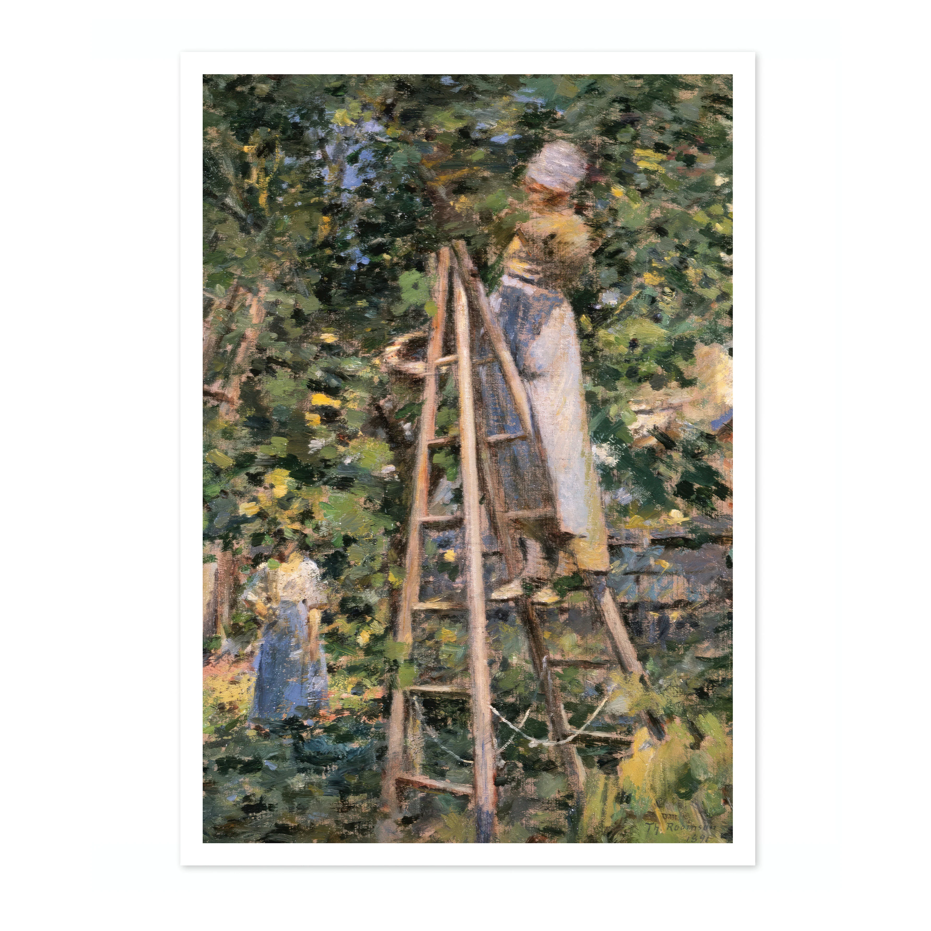 Gathering Plums - Image 4
