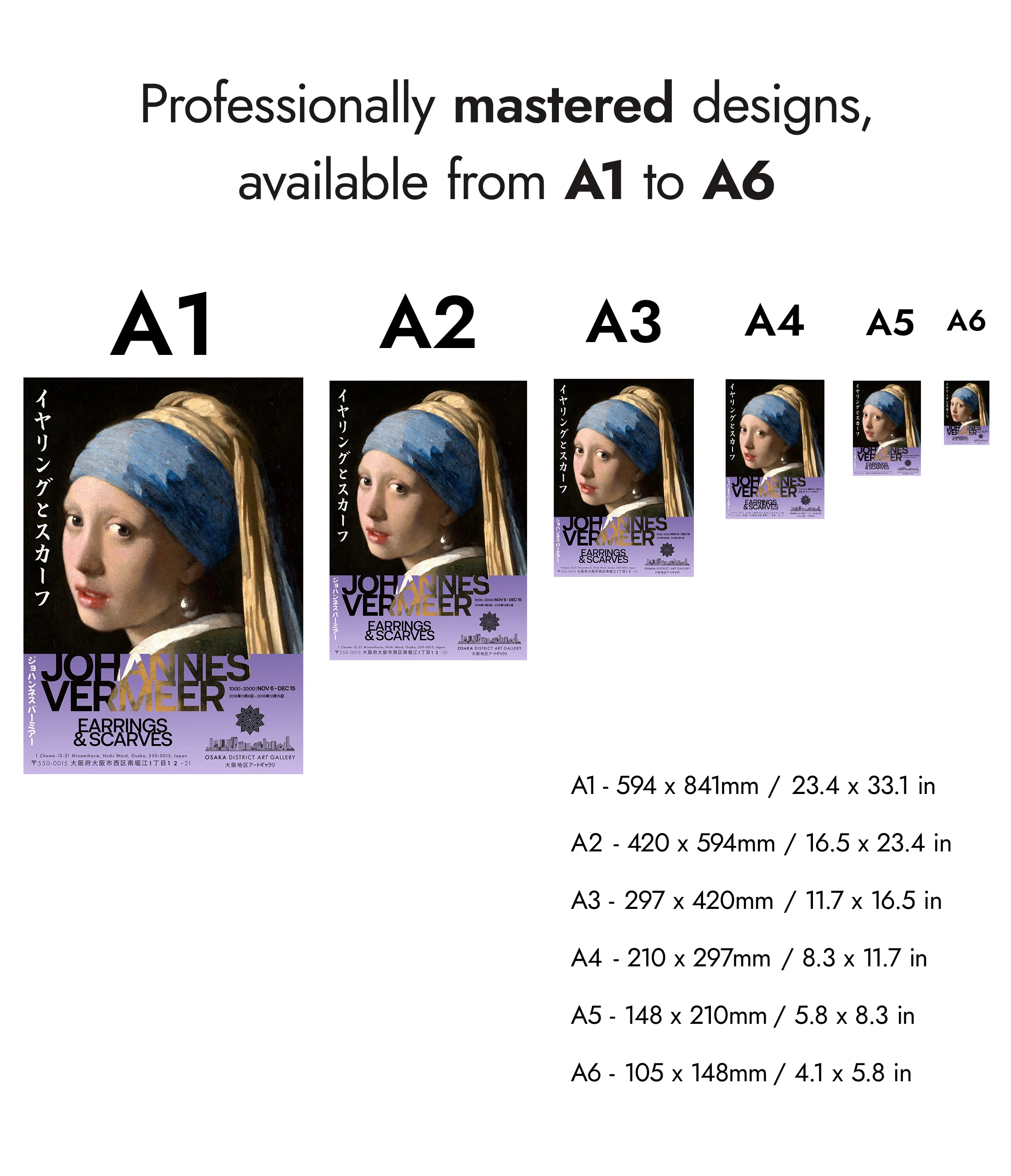 Girl with the Pearl Earring - Image 8
