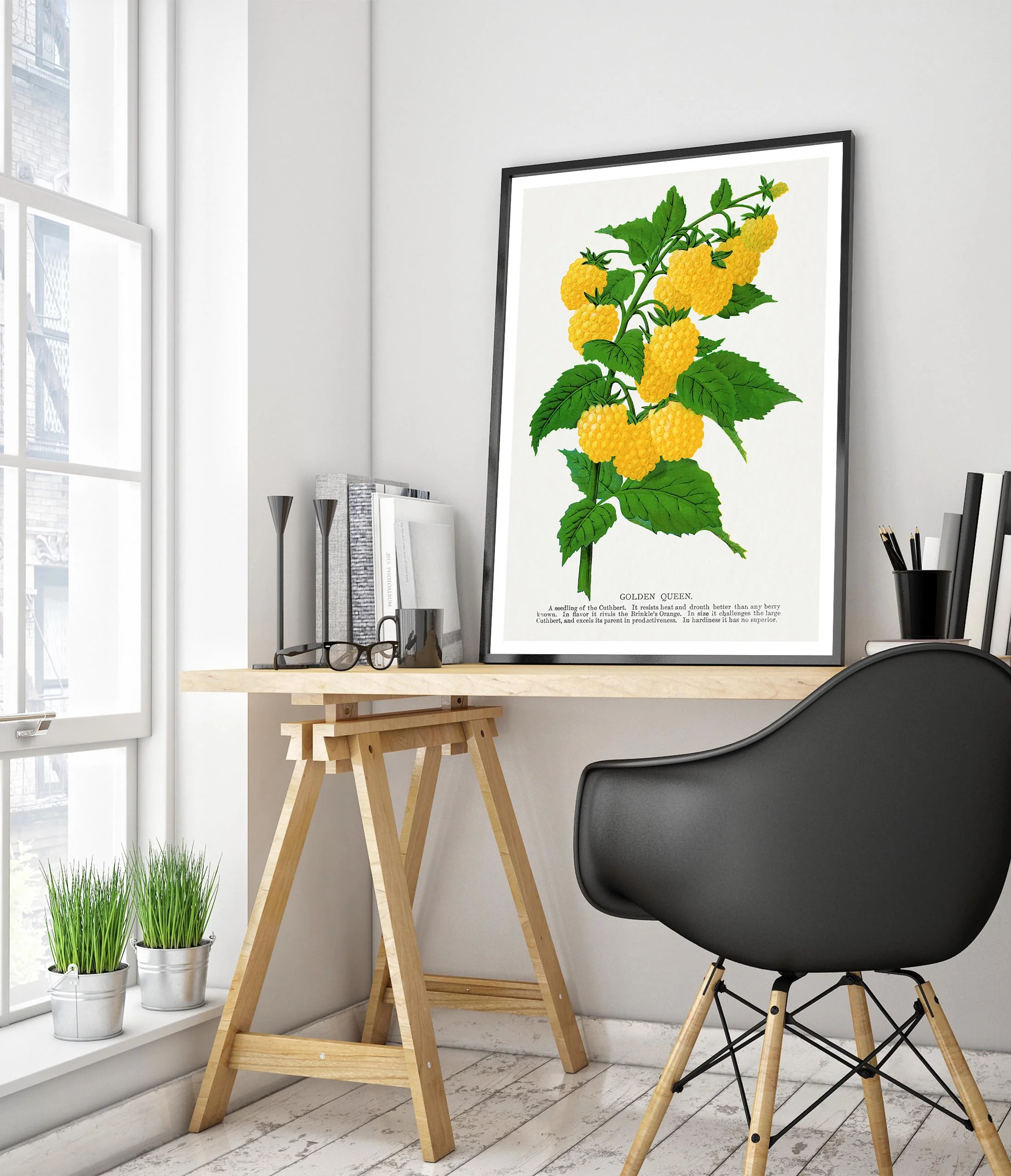Golden Queen Raspberry - Image 5