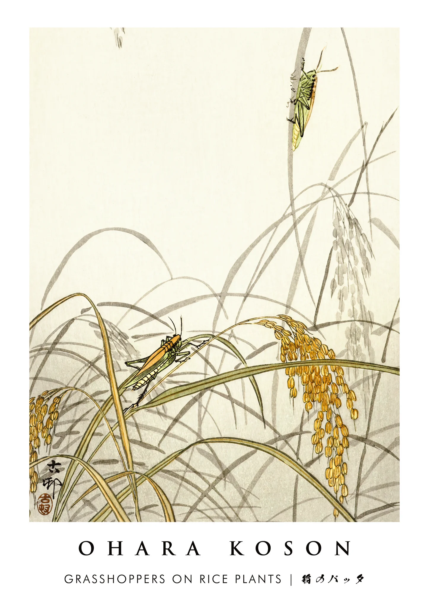 Grasshoppers on Rice Plants