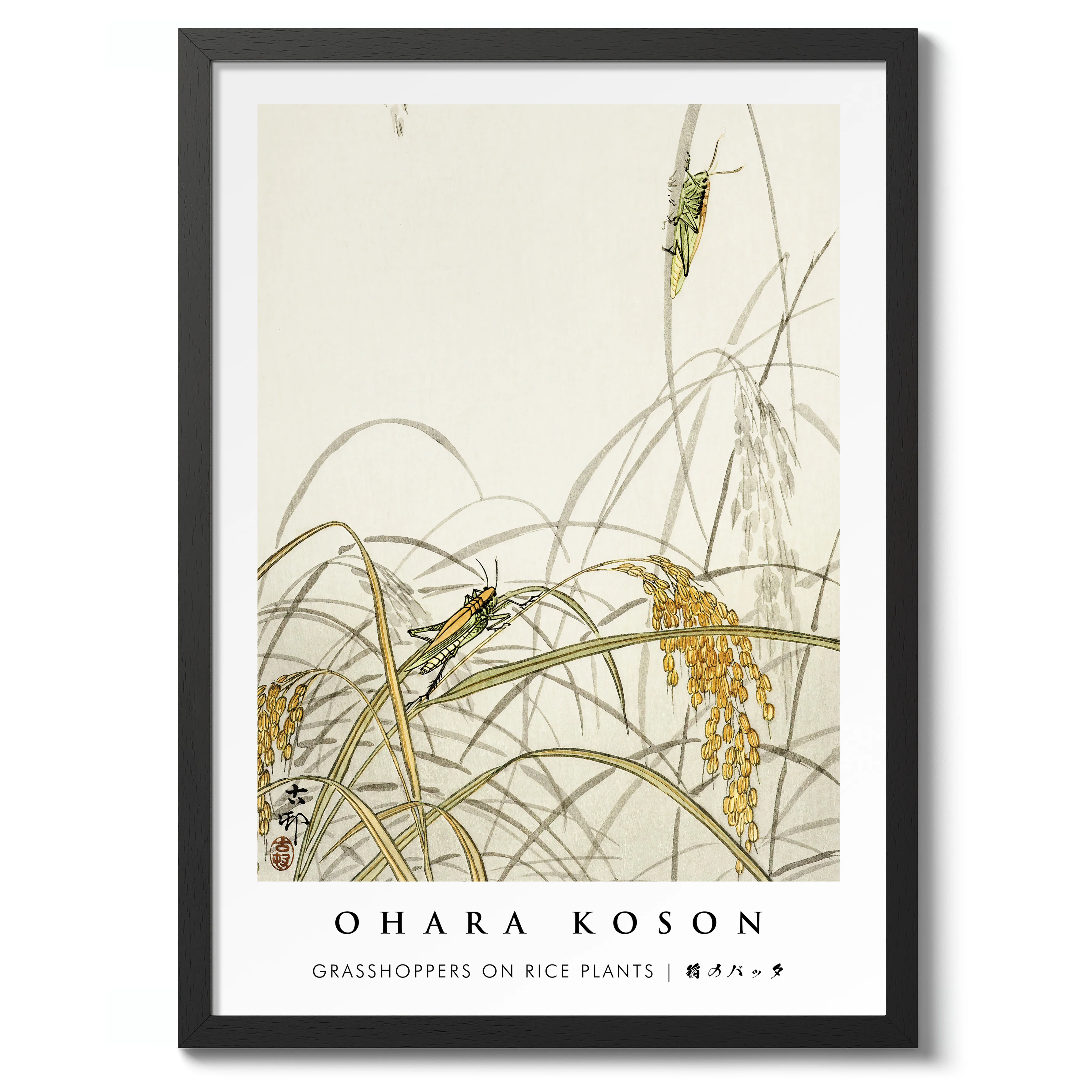 Grasshoppers on Rice Plants - Image 2