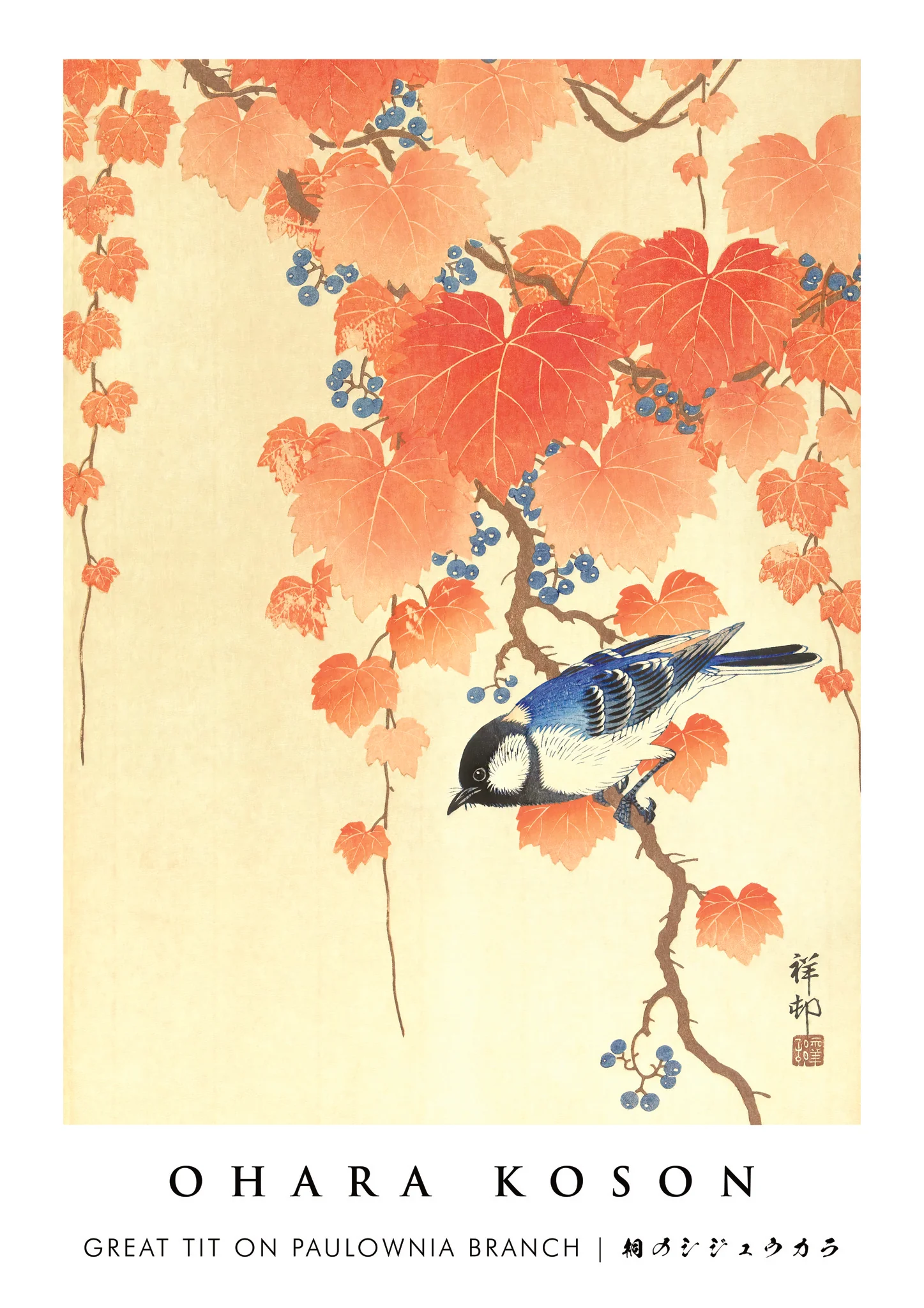 Great Tit on Paulownia Branch