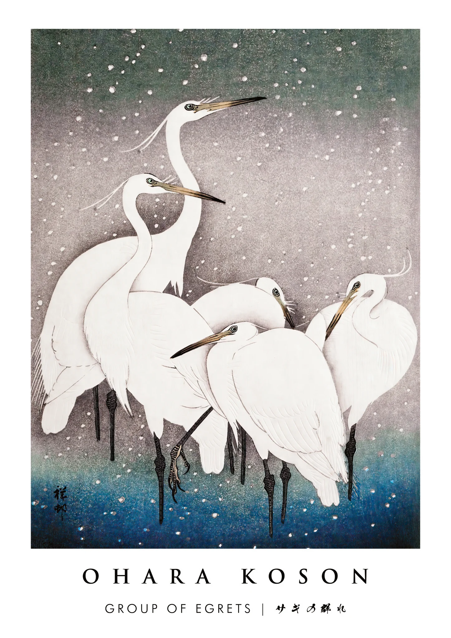 Group of Egrets