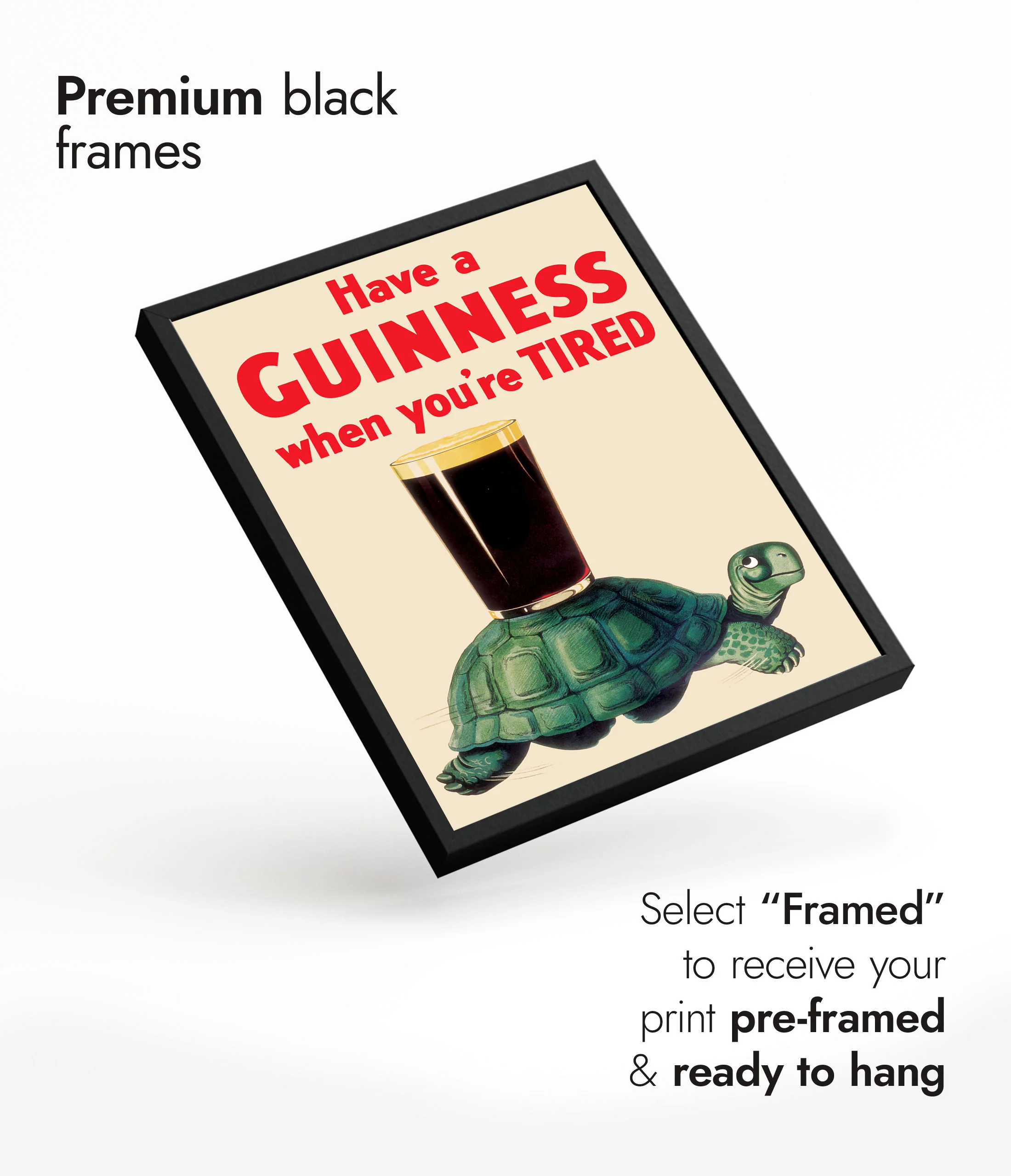 Guinness Turtle - Image 7