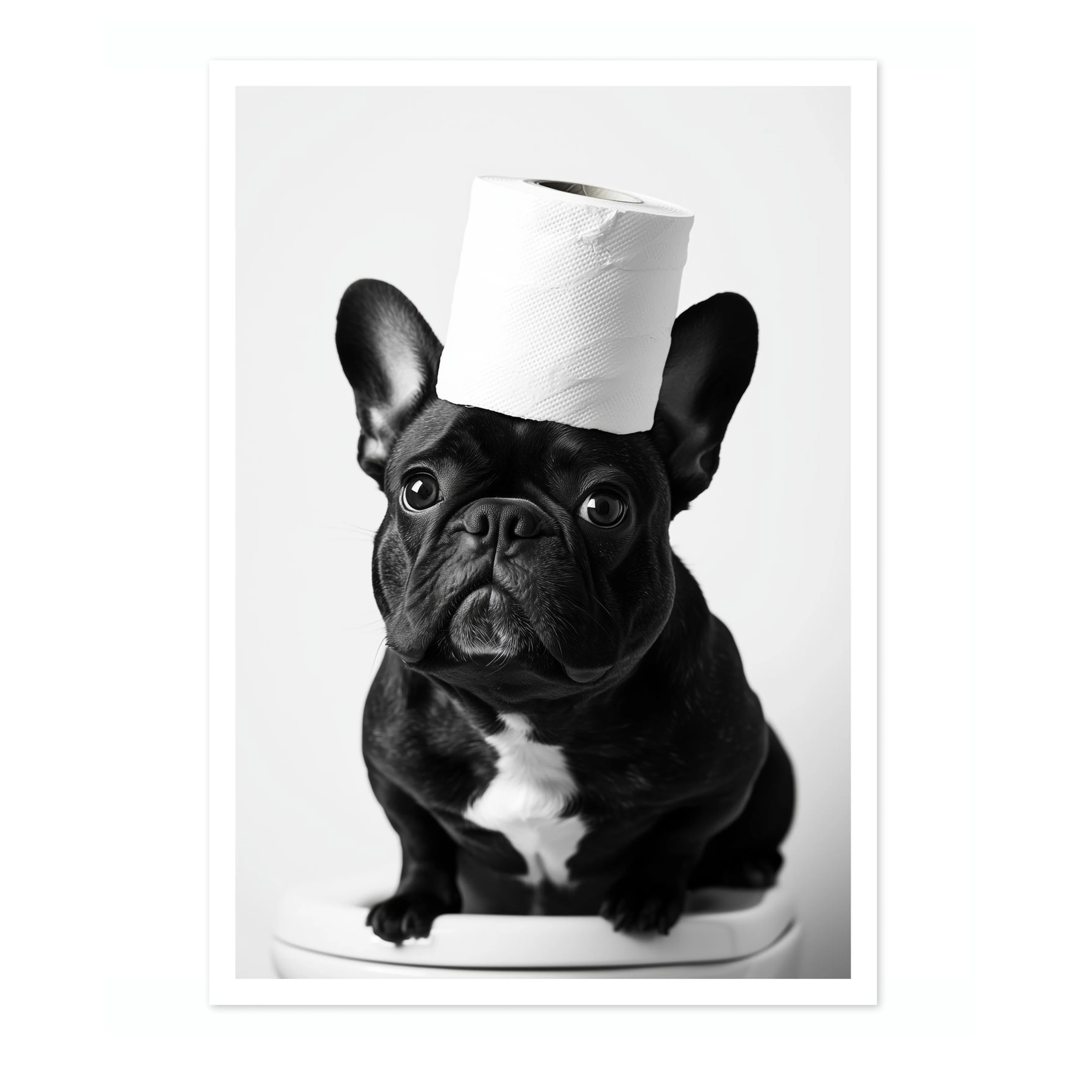 Haute Dog Couture - Image 4