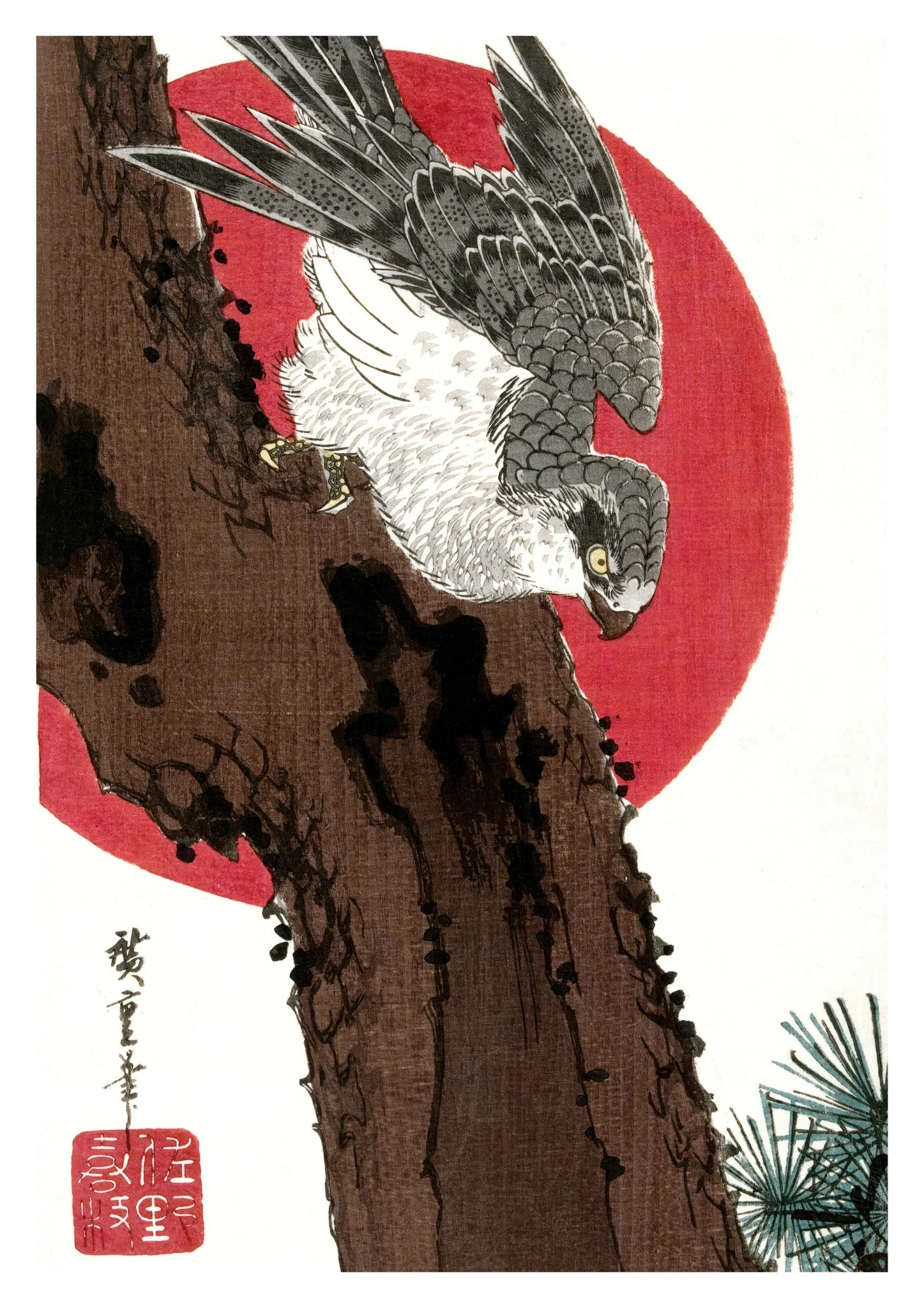 Hawk & Red Sun