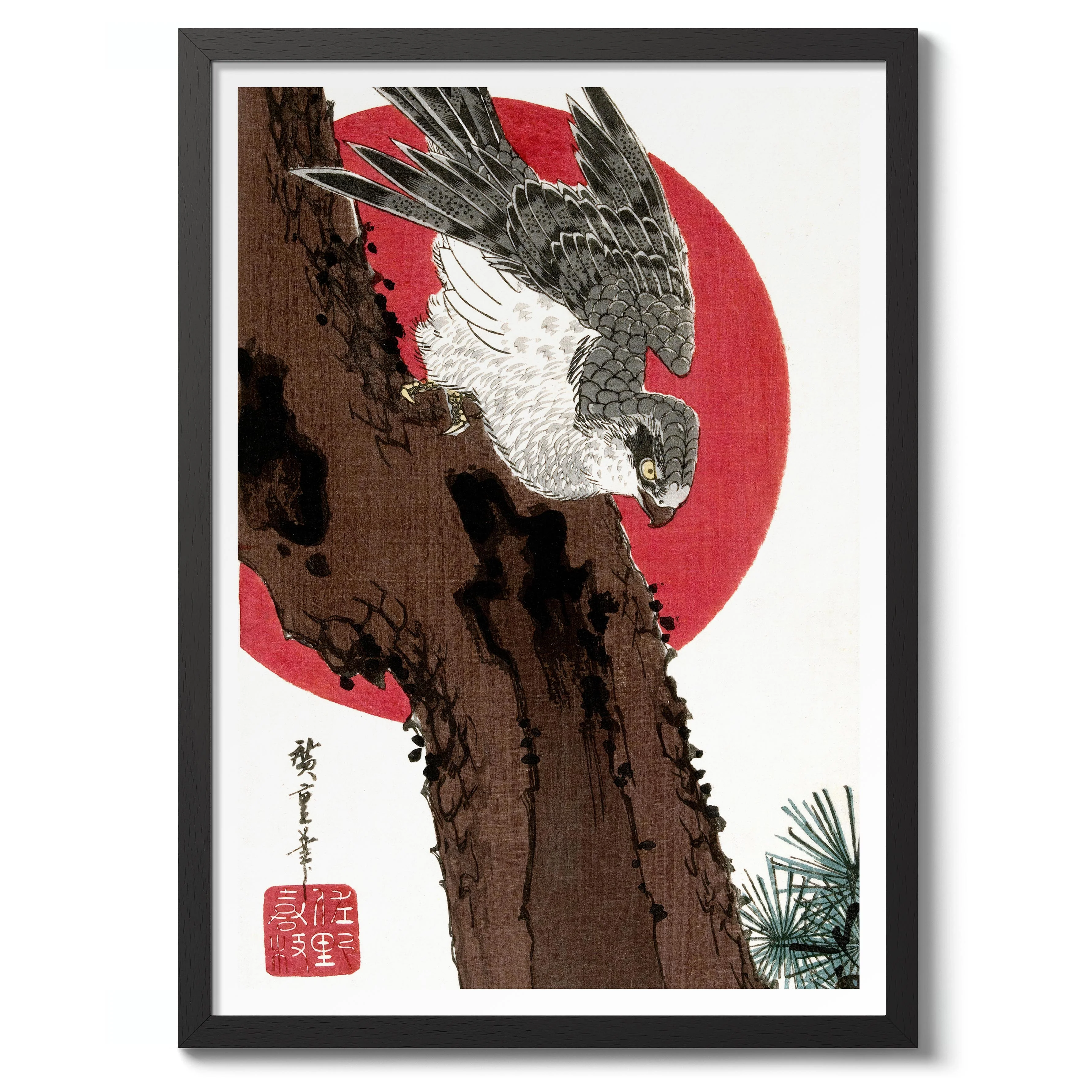Hawk & Red Sun - Image 2