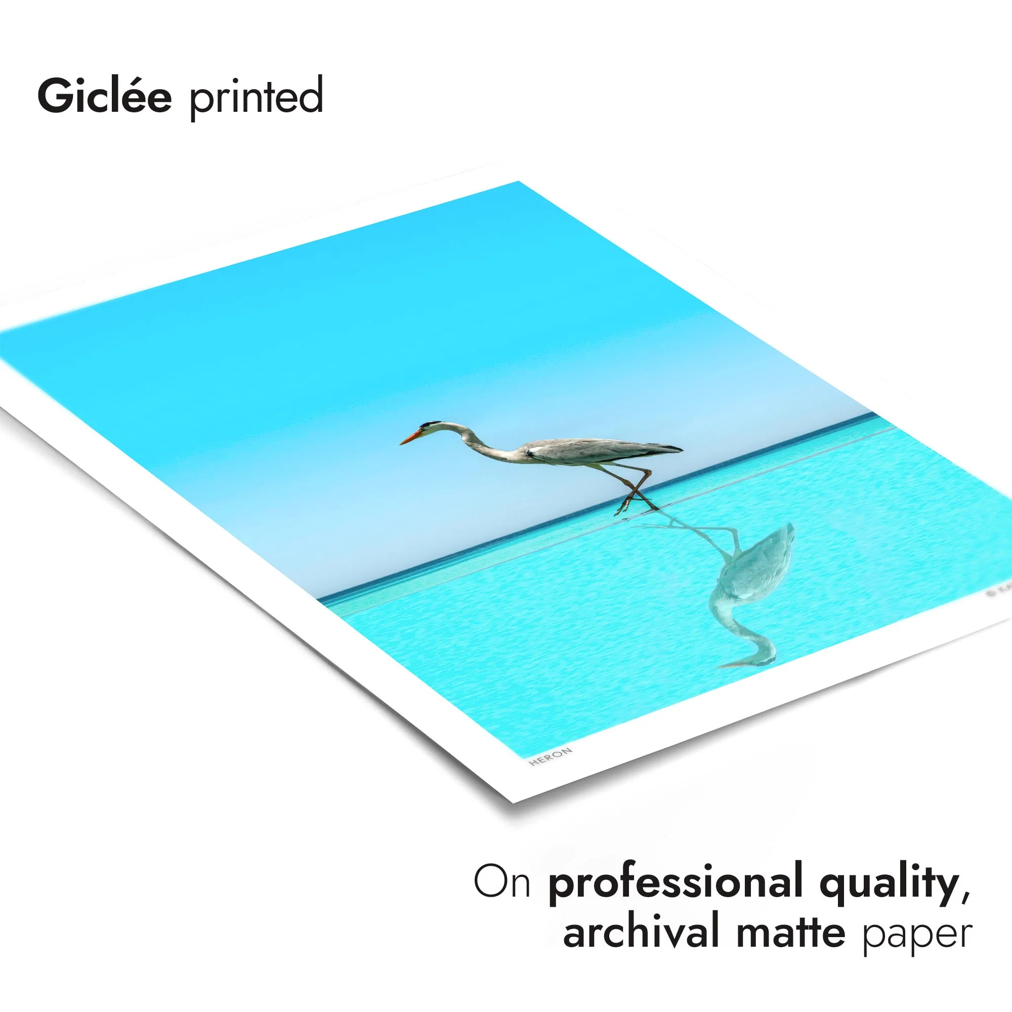 Heron - Image 6