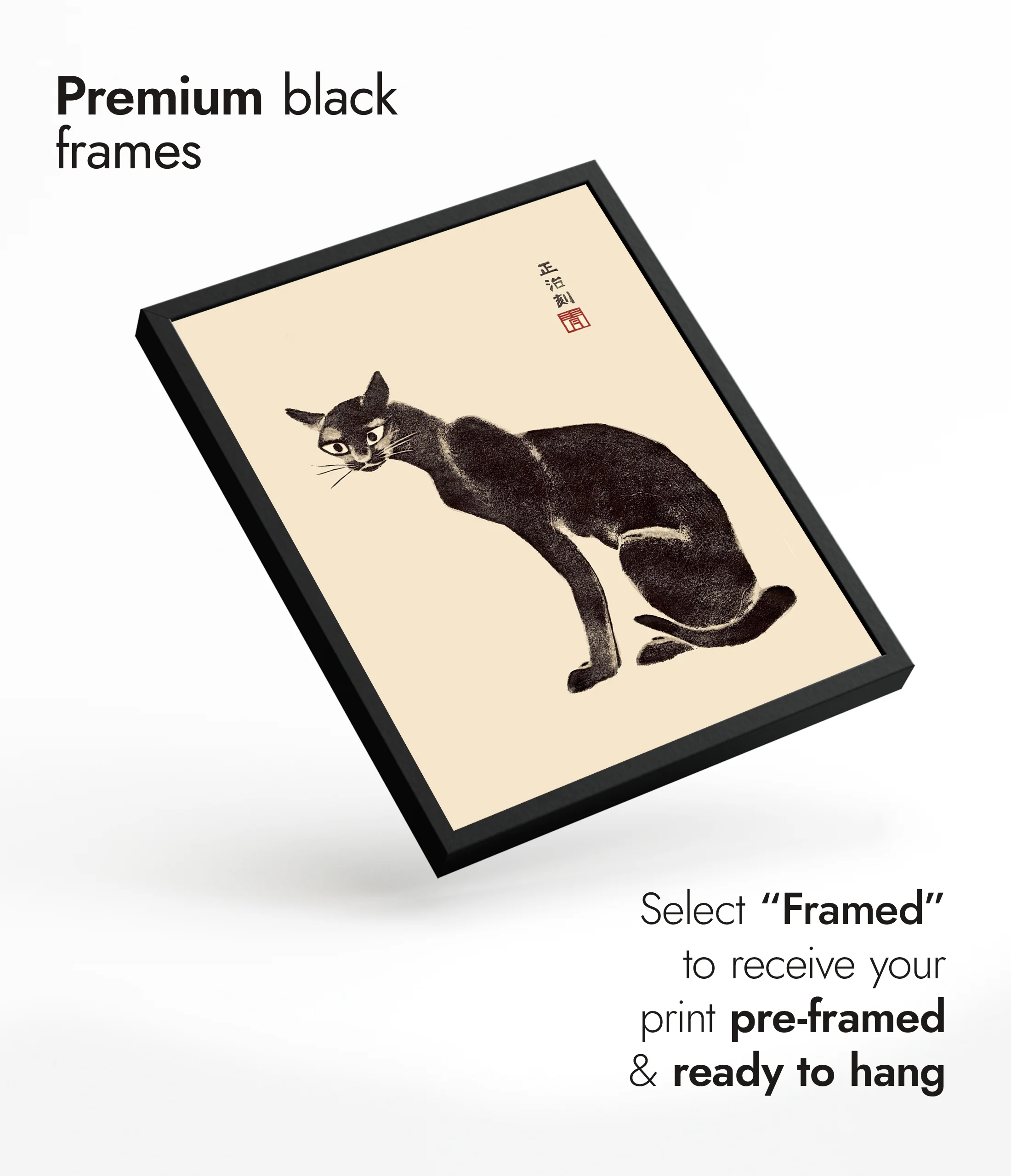 Hoji Cat - Image 7