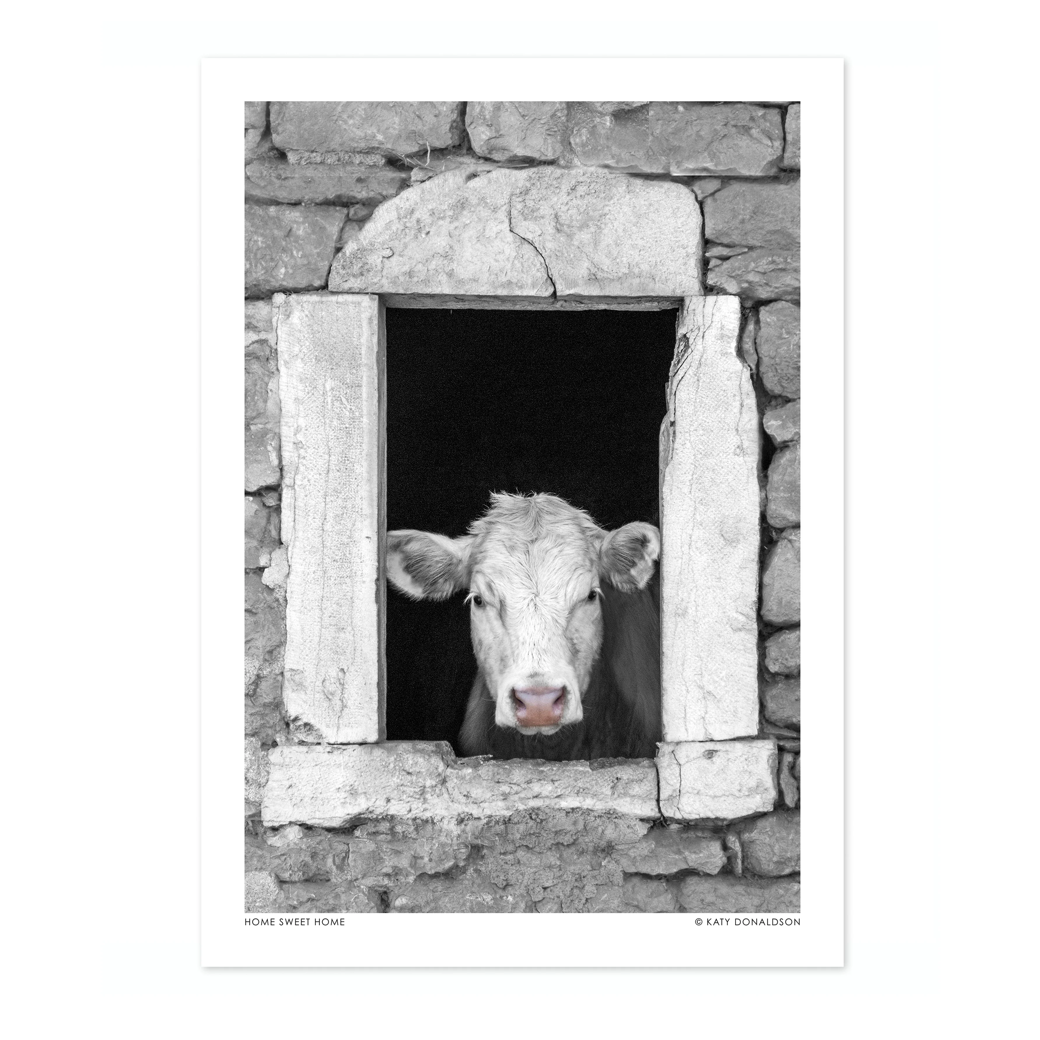 Home Sweet Home - Image 4