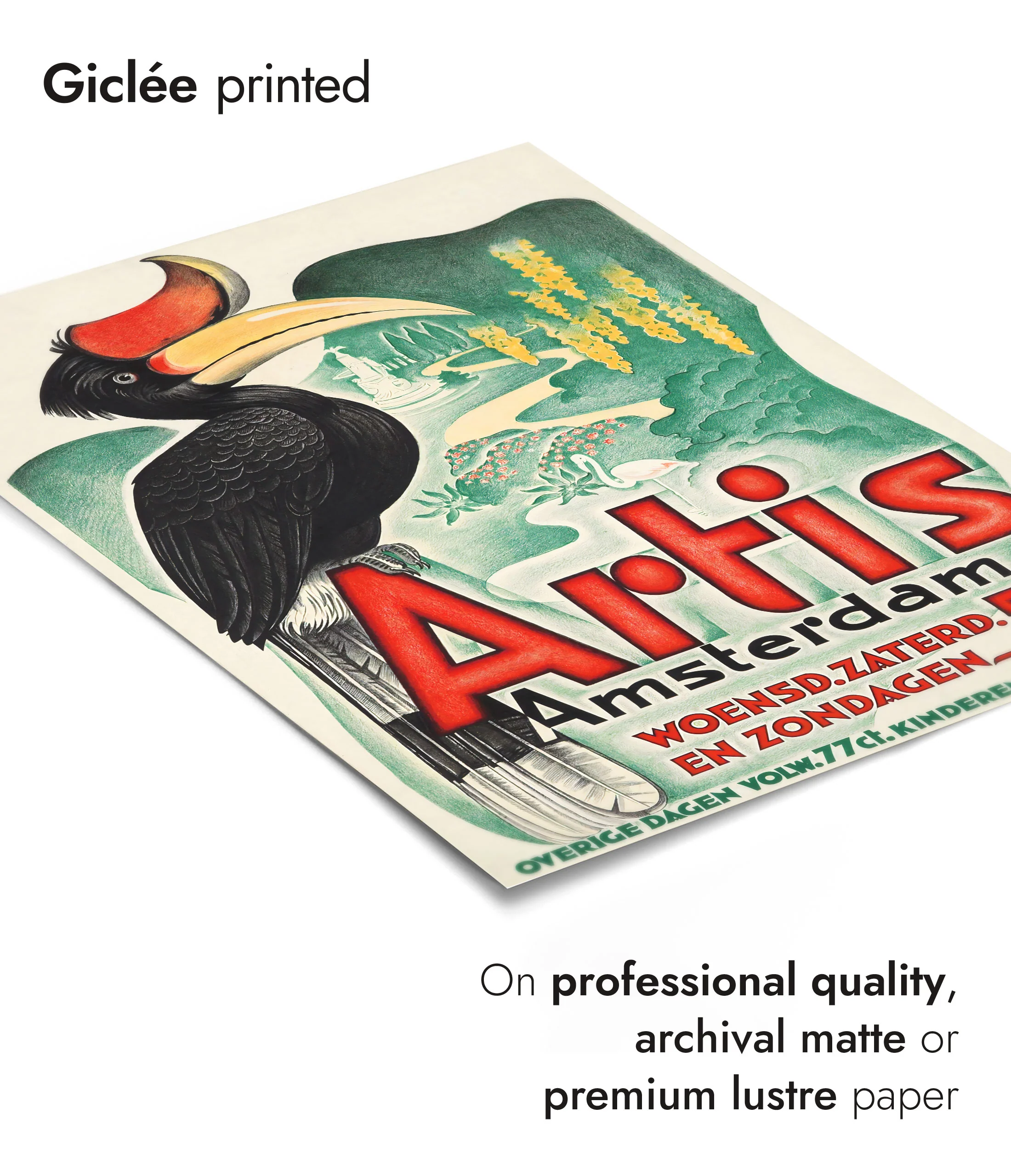 Hornbill, Amsterdam - Image 6