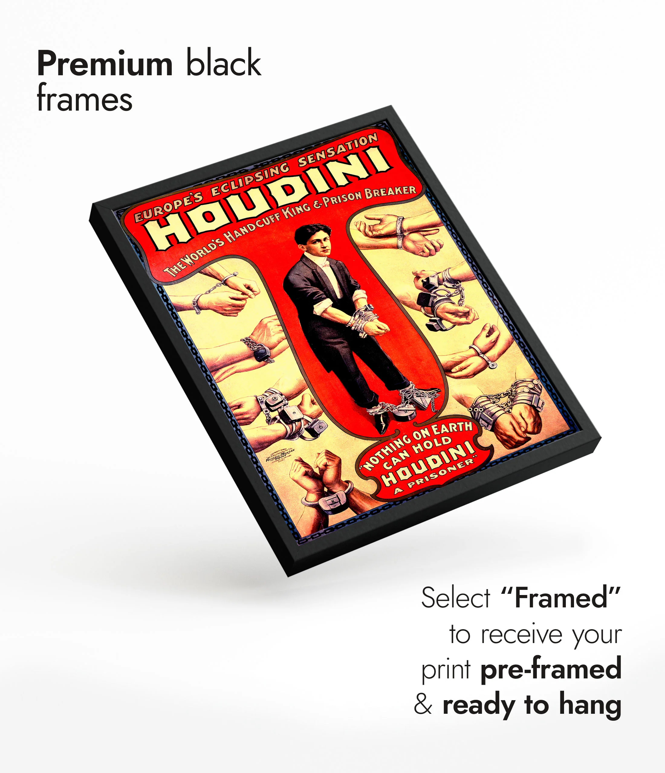 Houdini Escapologist - Image 7