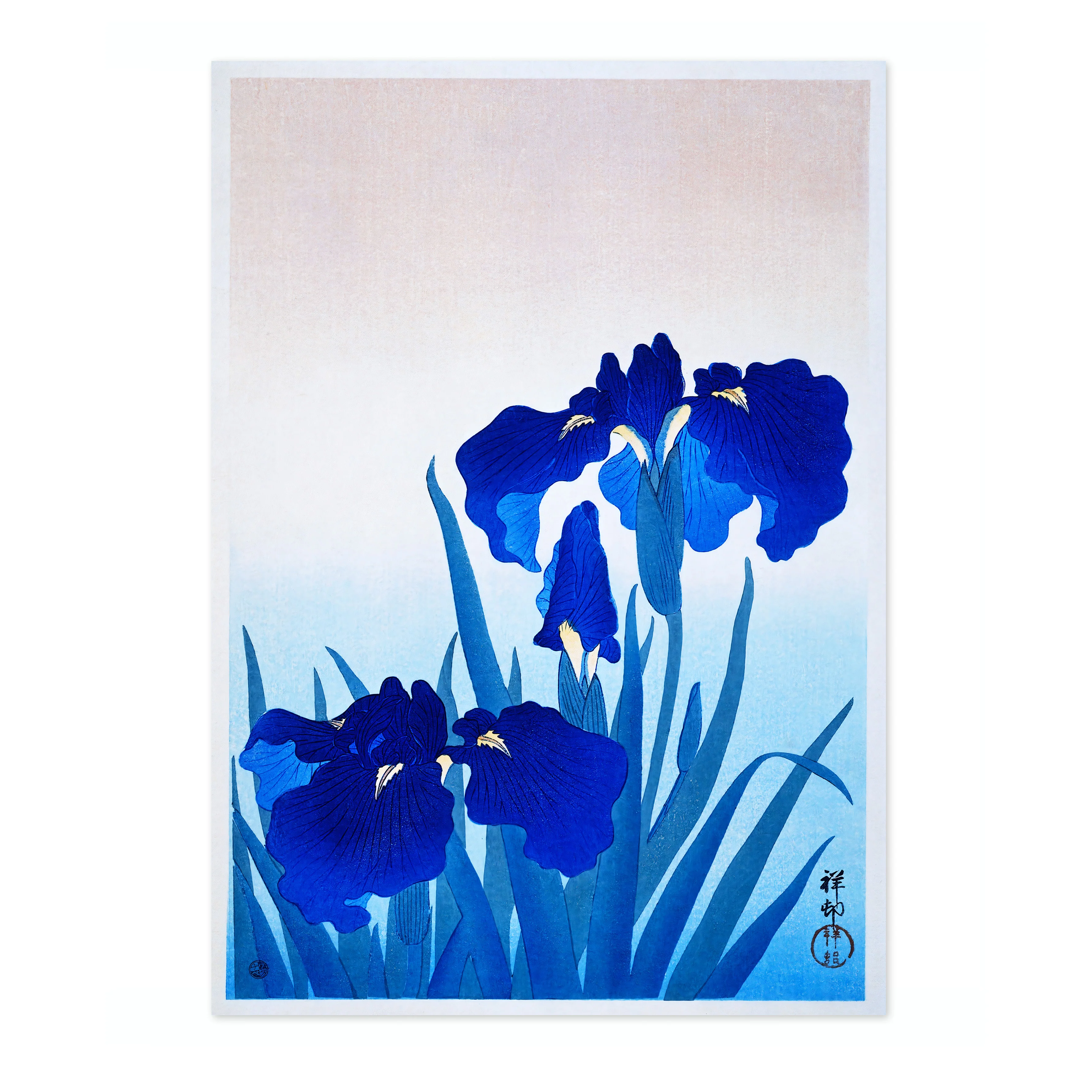 Iris Flowers - Image 4