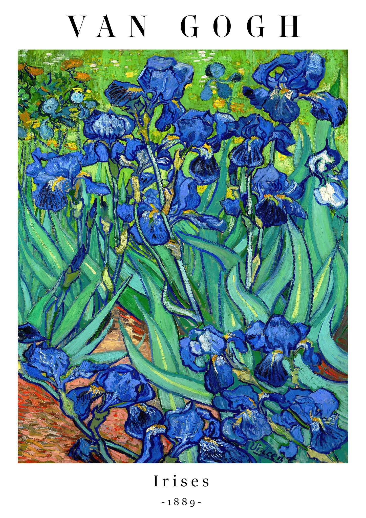 Irises