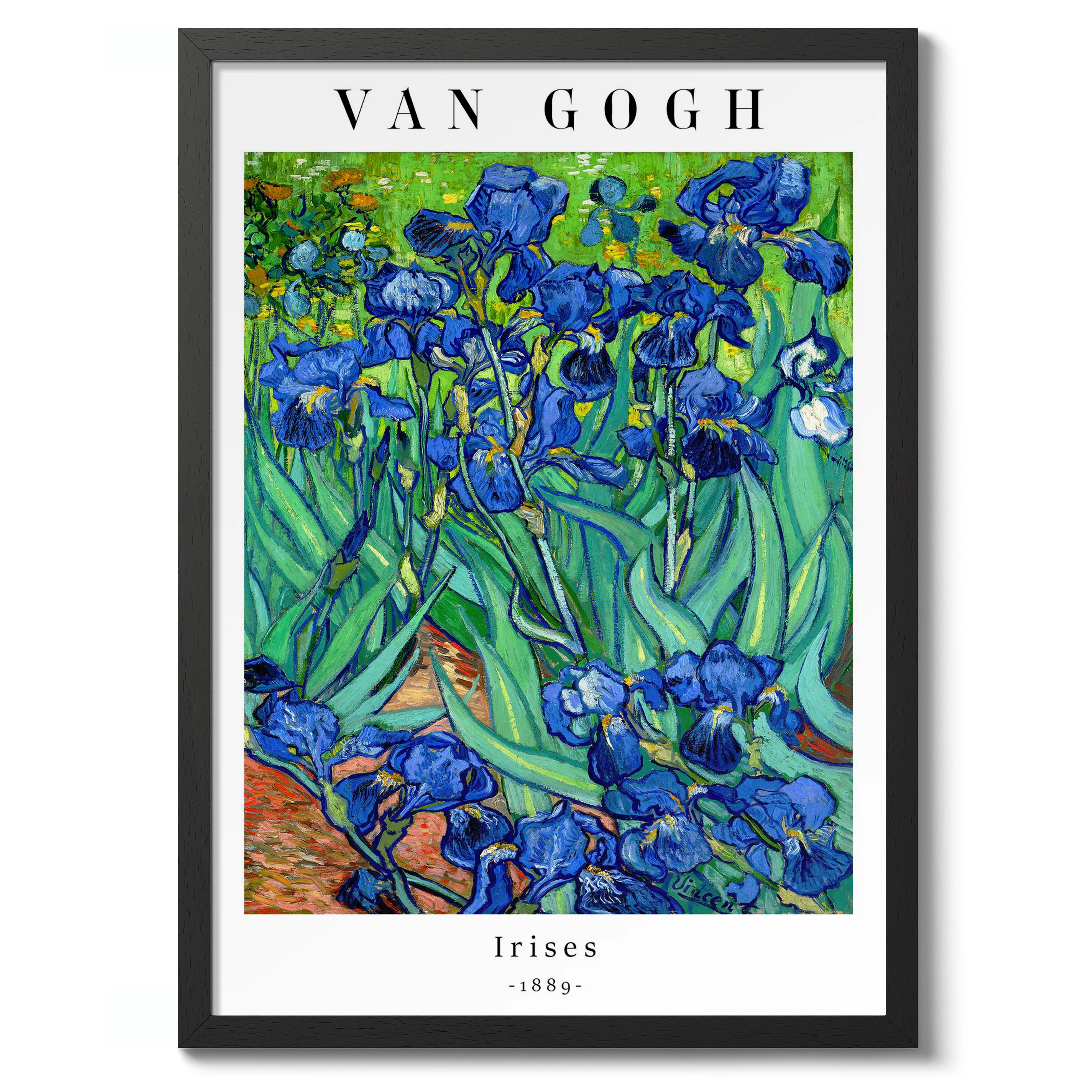 Irises - Image 2