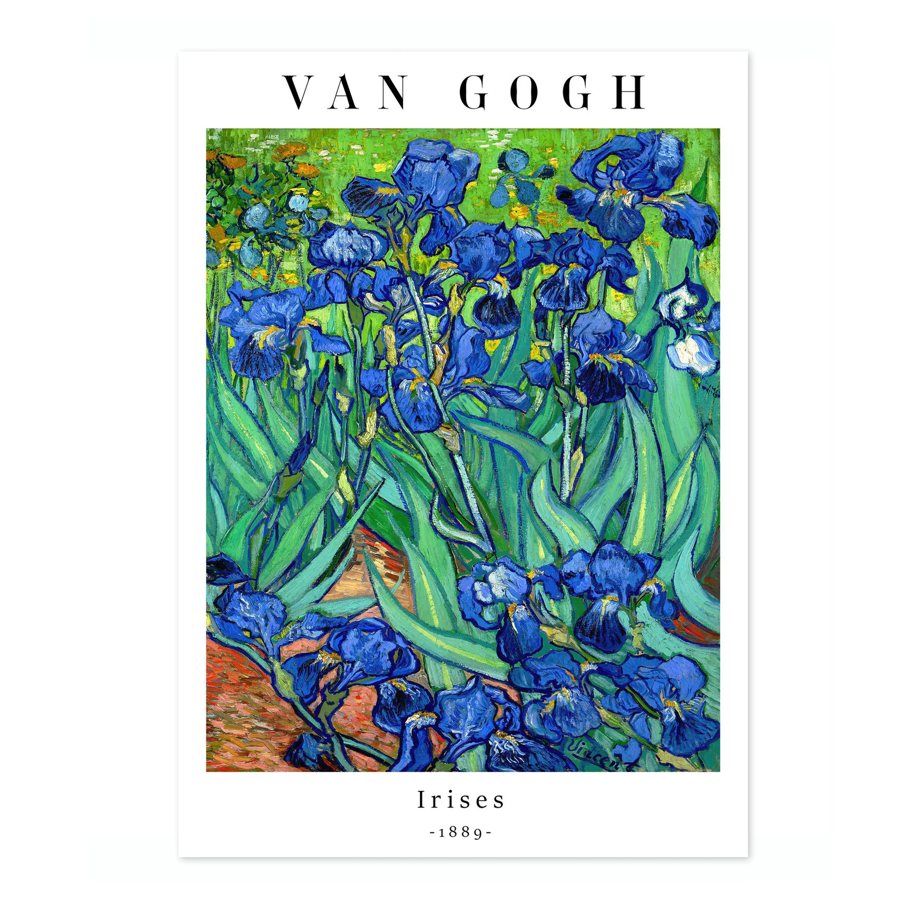 Irises - Image 4