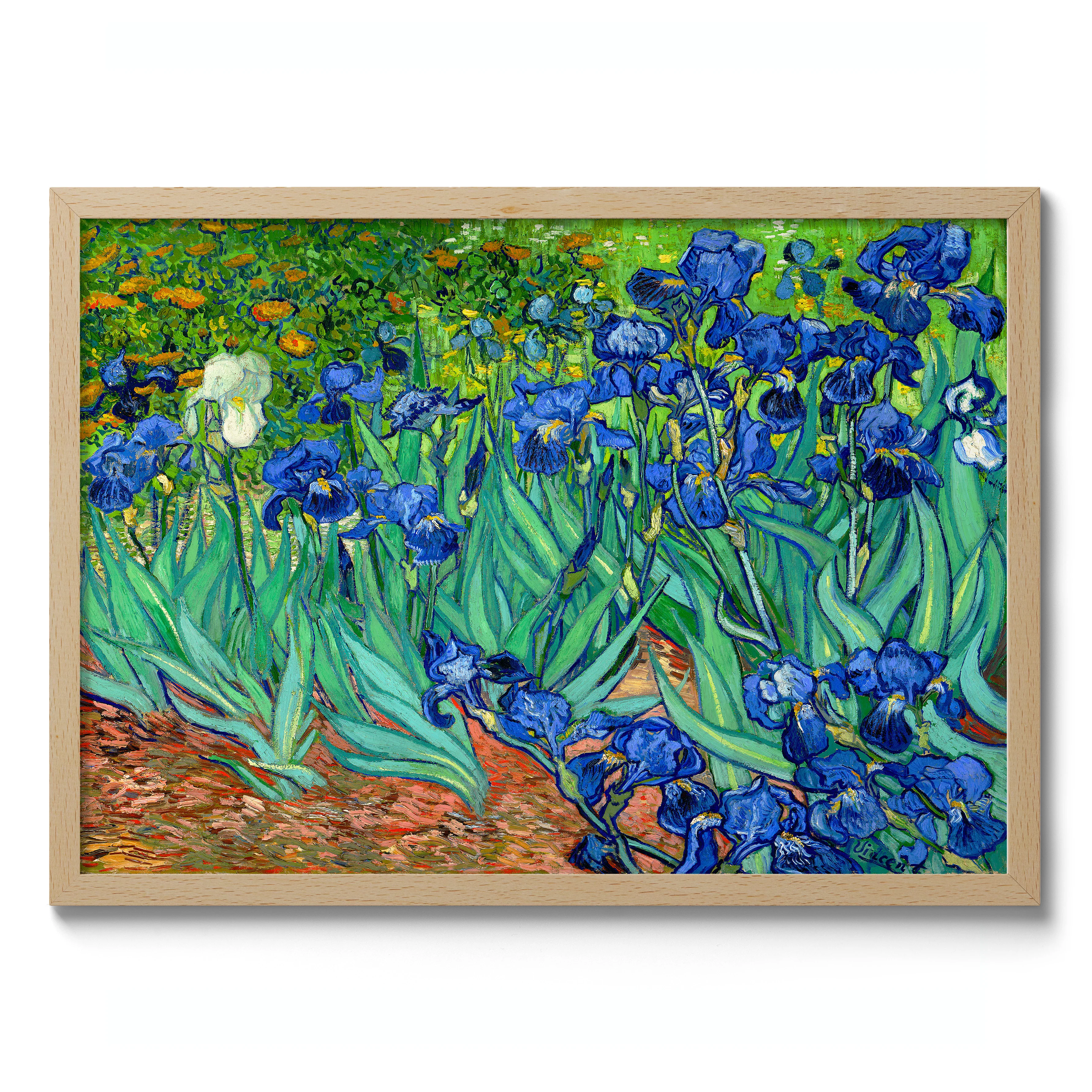 Irises - Image 3