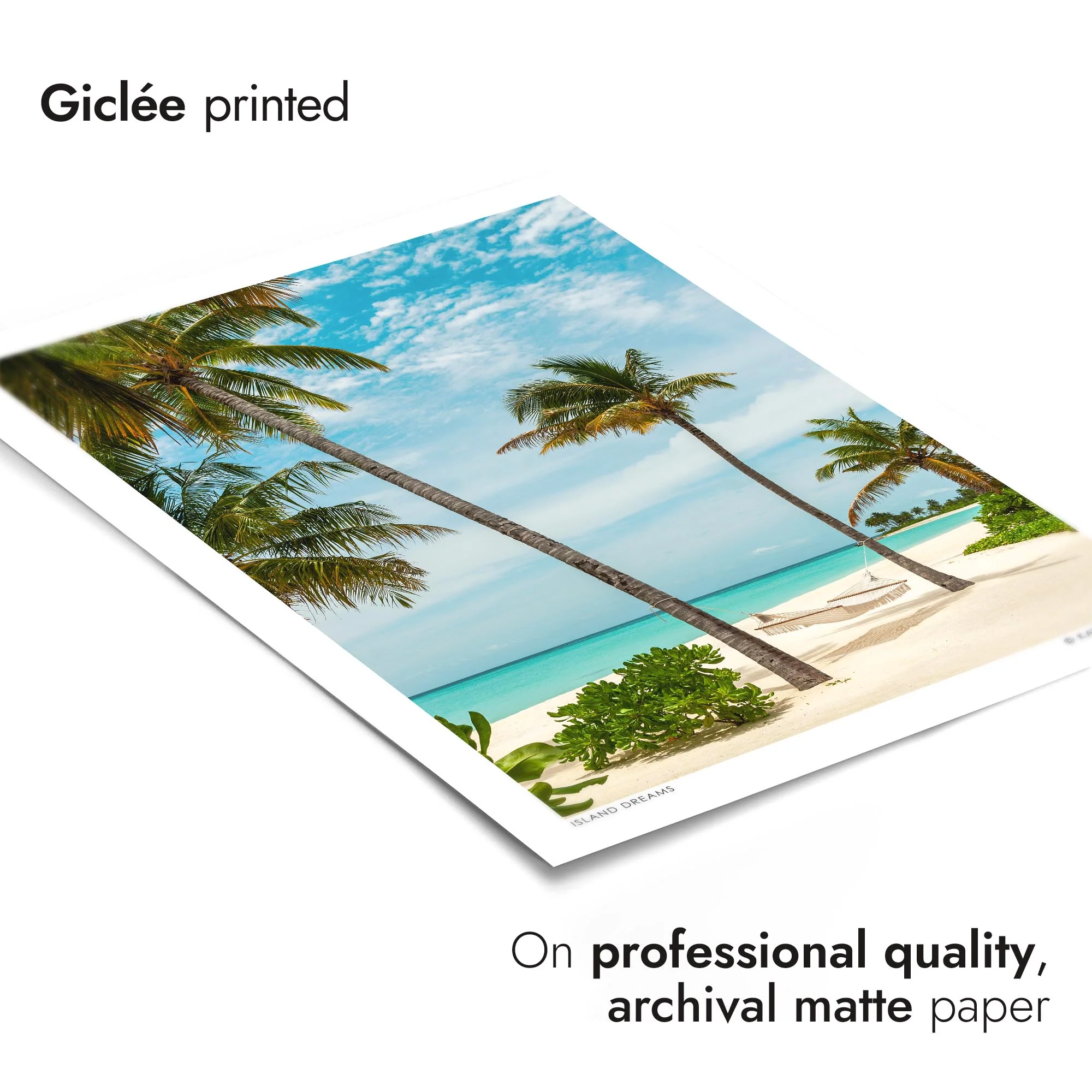 Island Dreams - Image 6