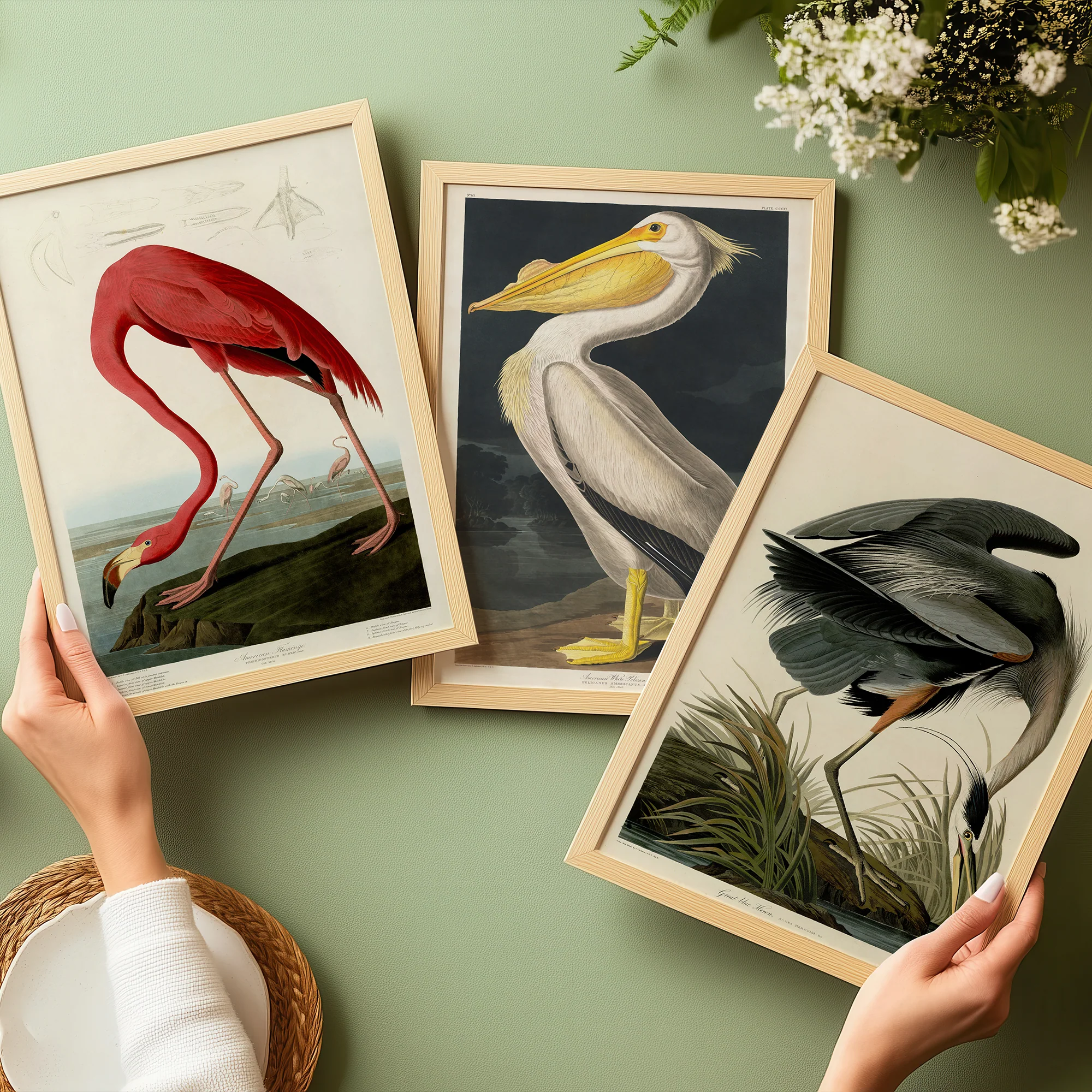 J.J. Audubon Triptych