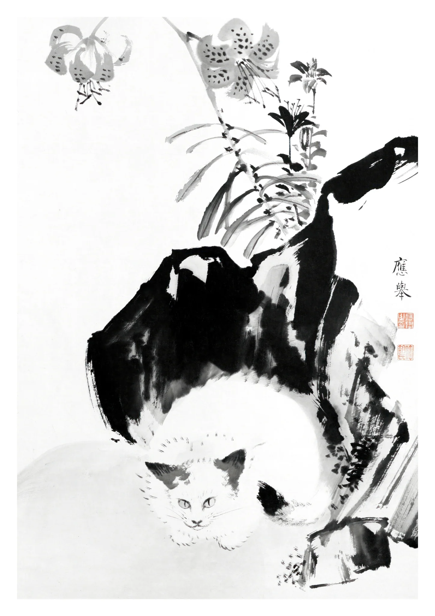 Japanese Cat