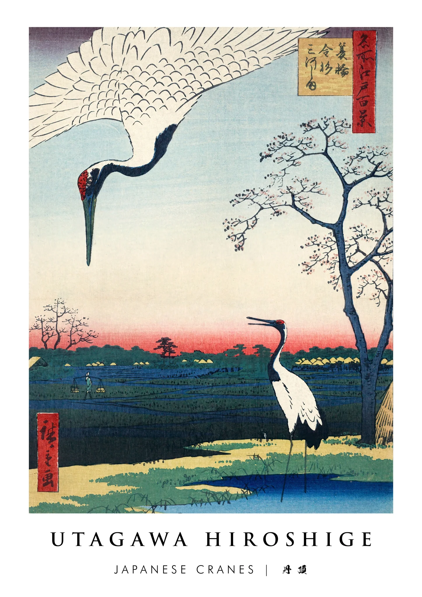 Japanese Cranes