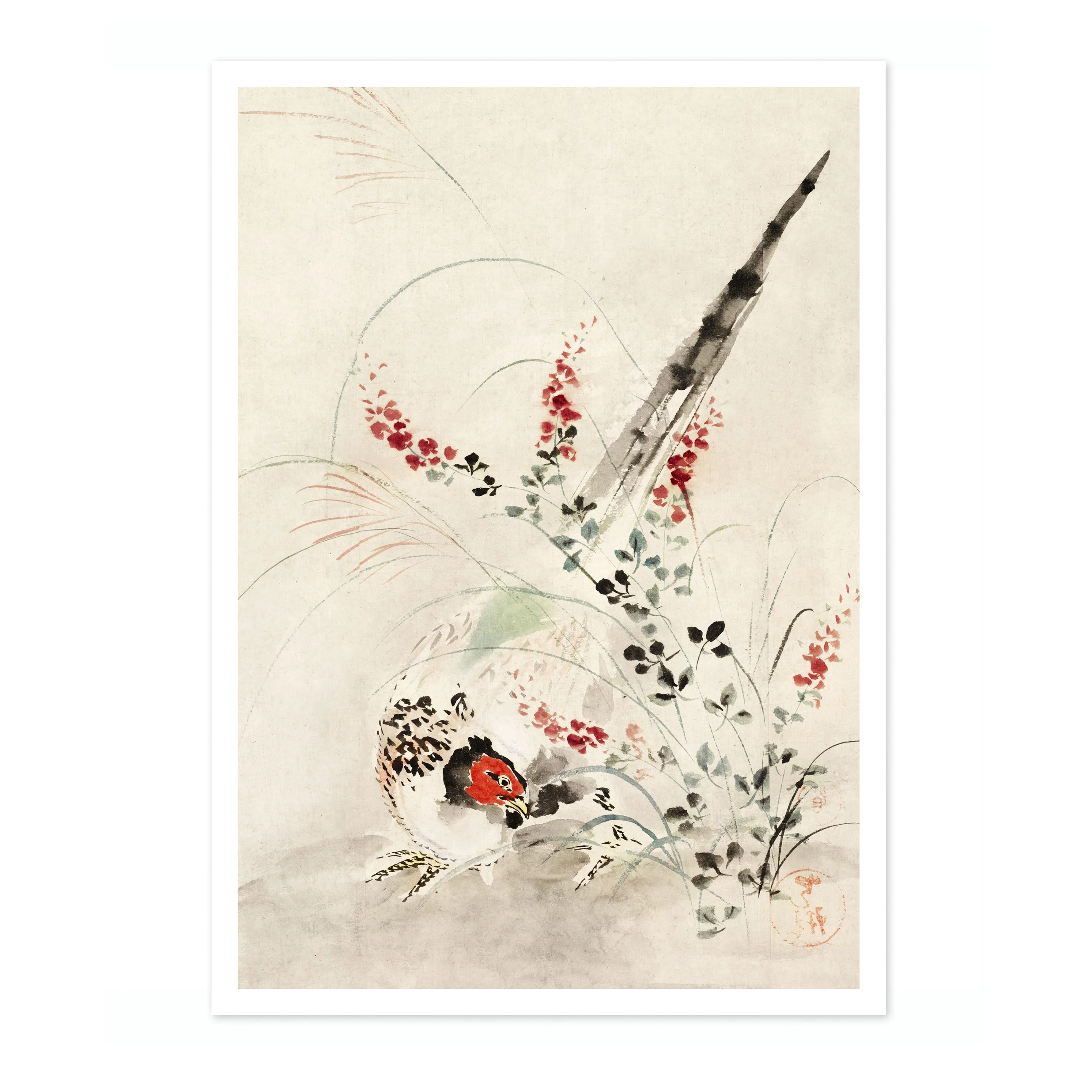 Japanese Pheasant - Image 4