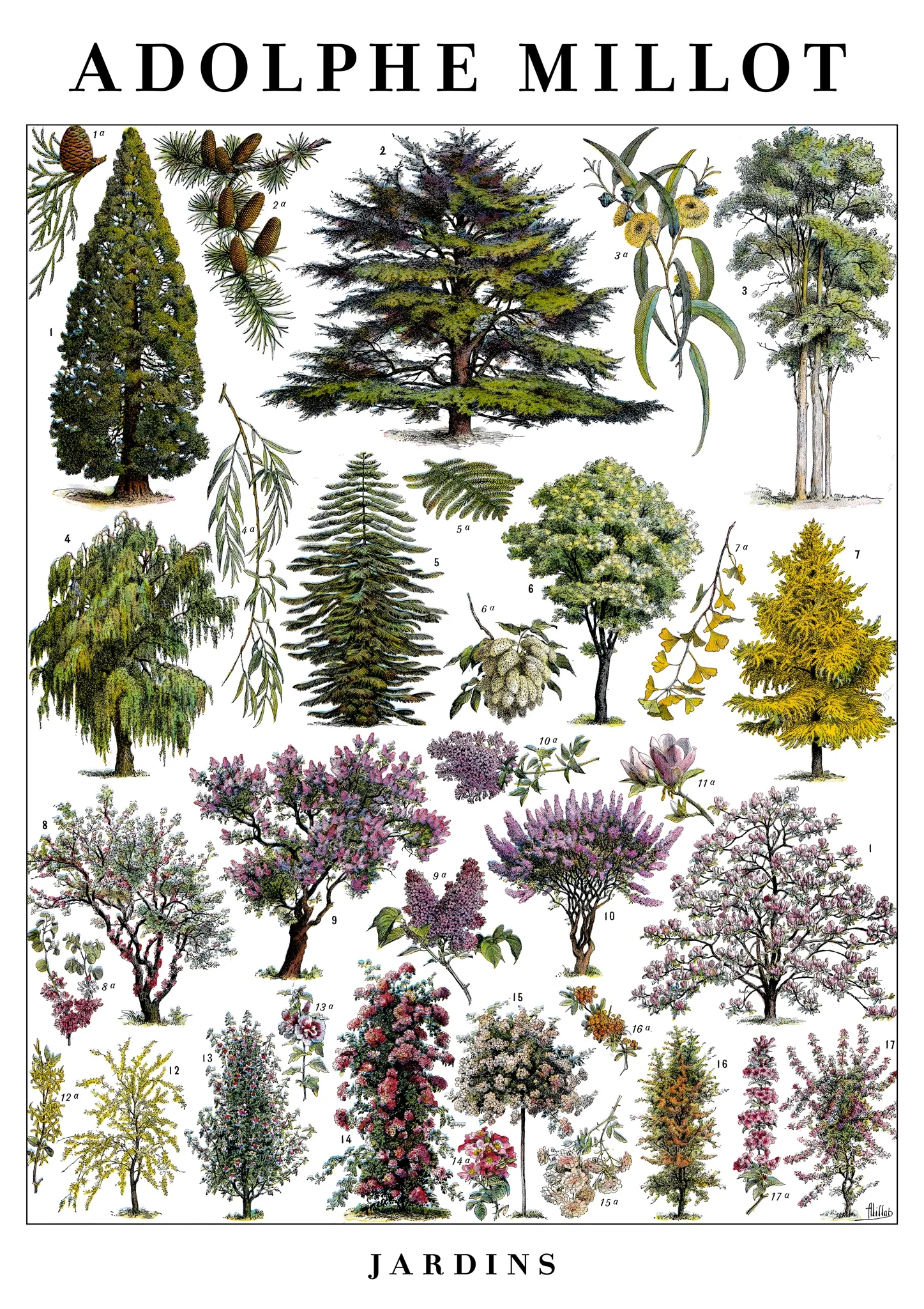 Jardins