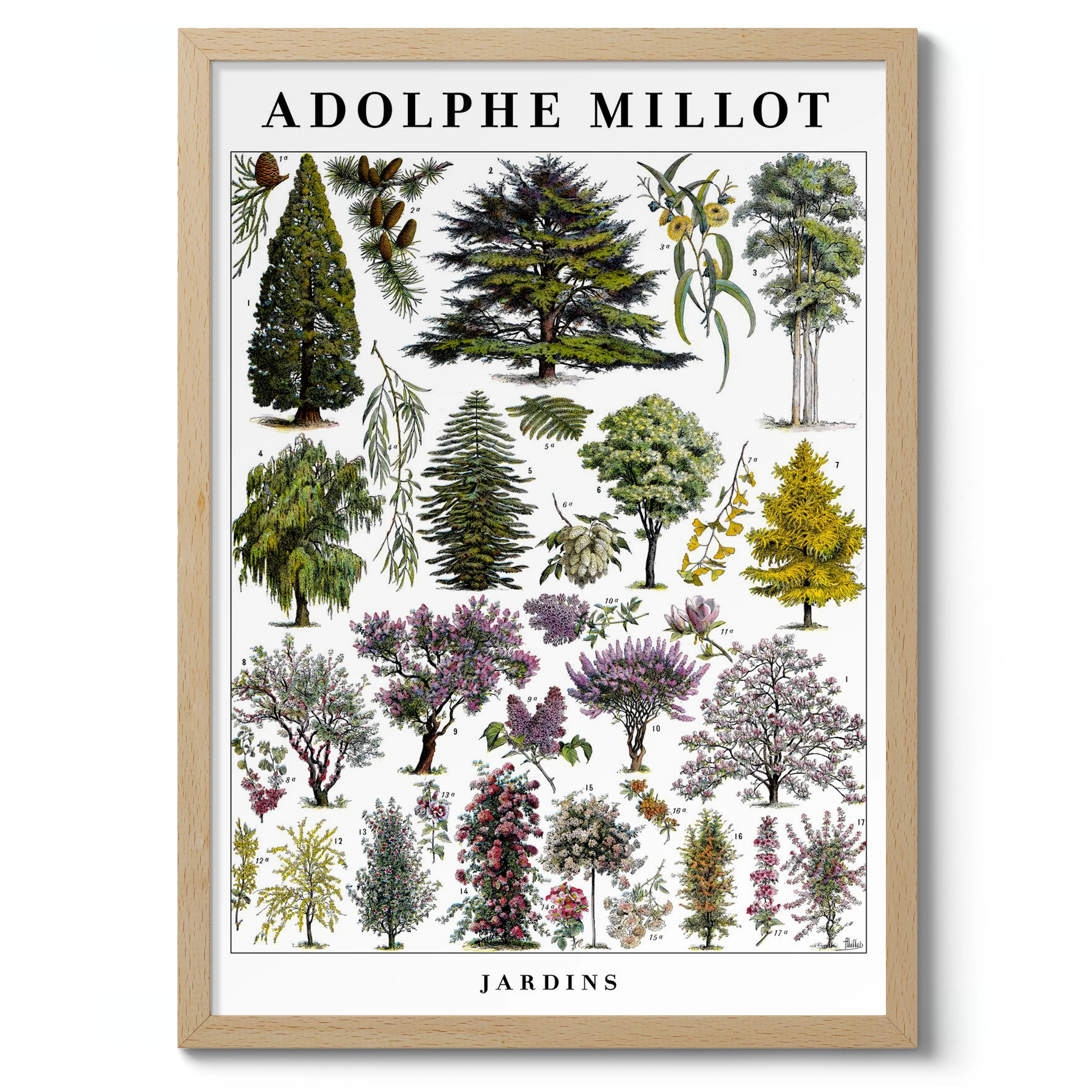 Jardins - Image 3