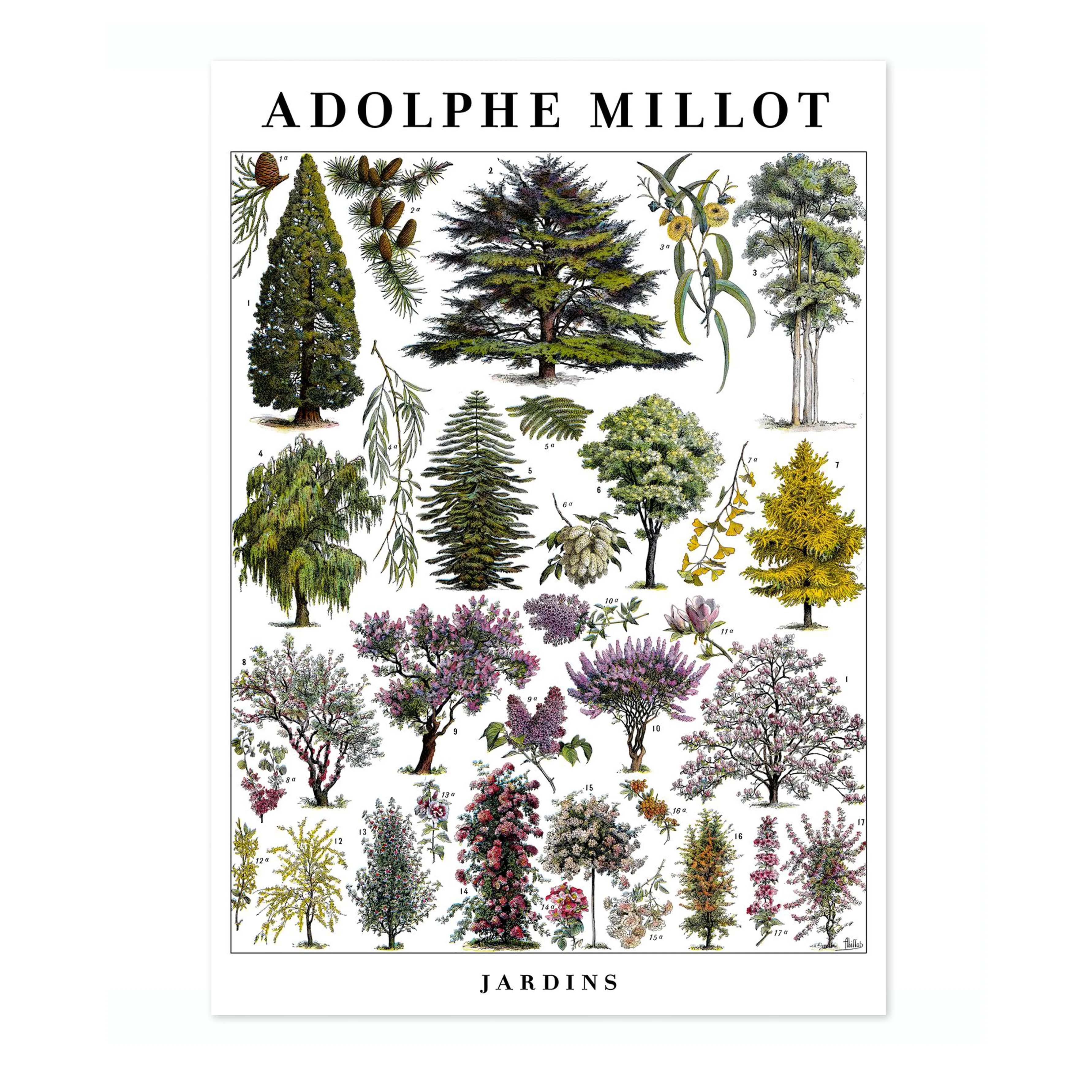 Jardins - Image 4
