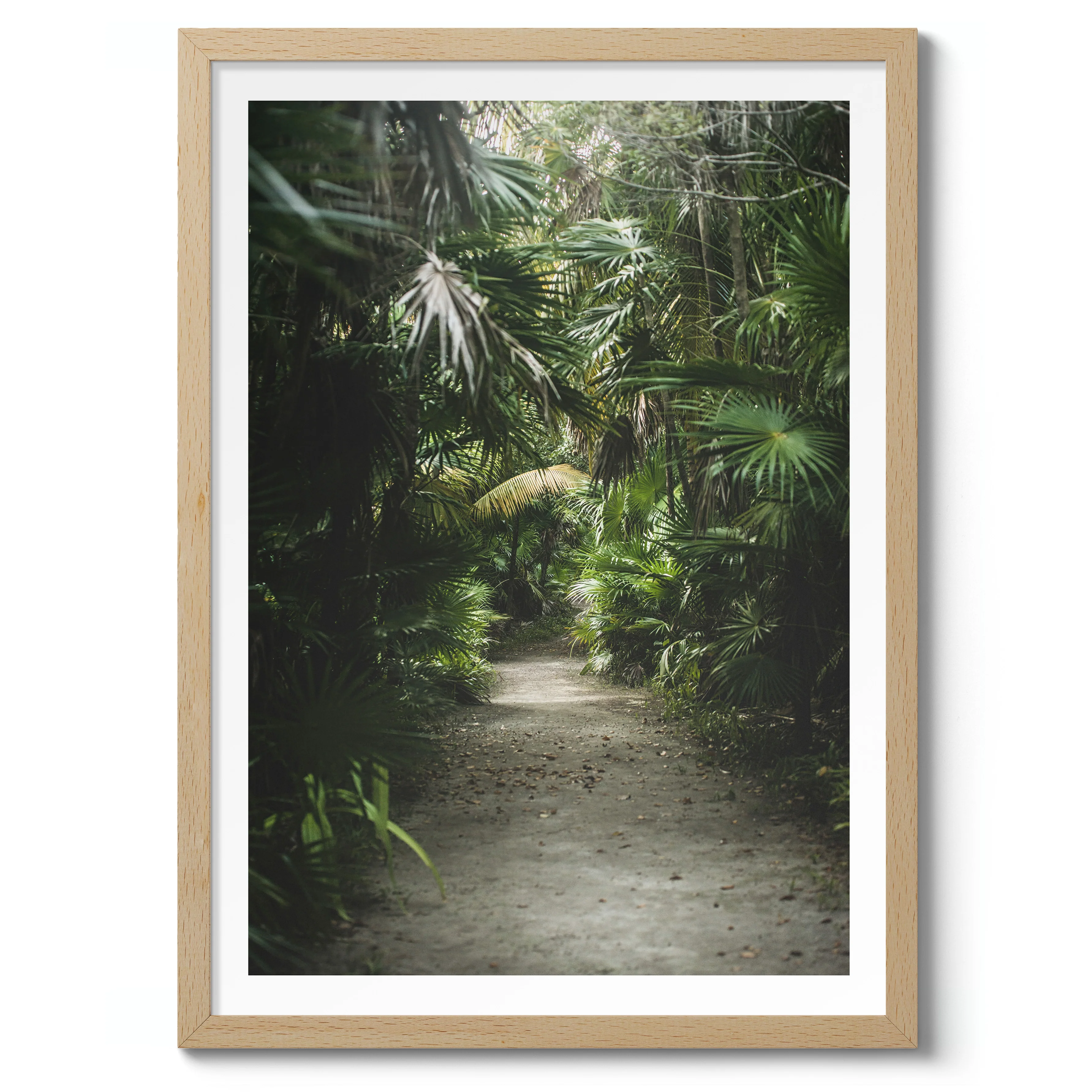 Jungle Path - Image 3