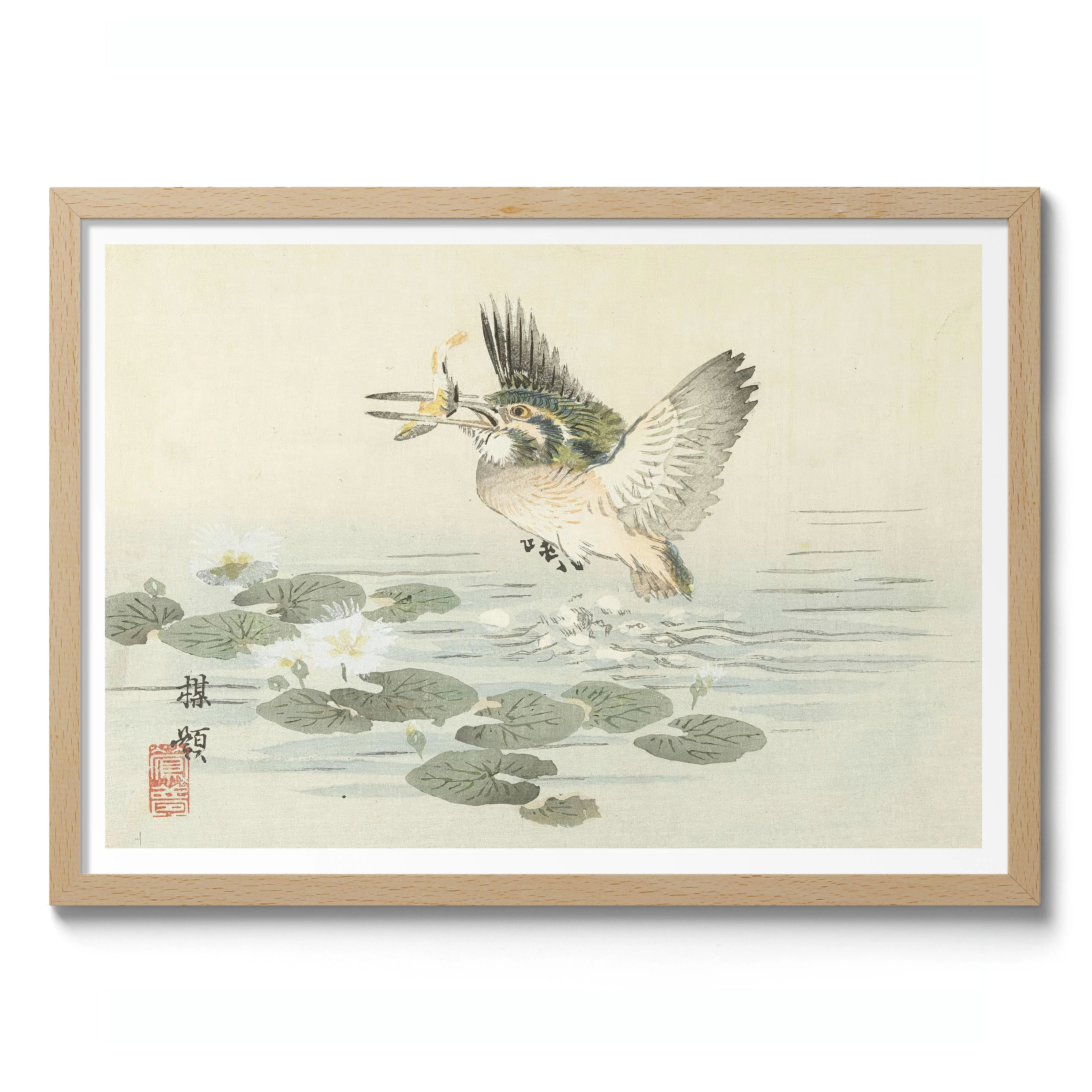 Kingfisher - Image 3