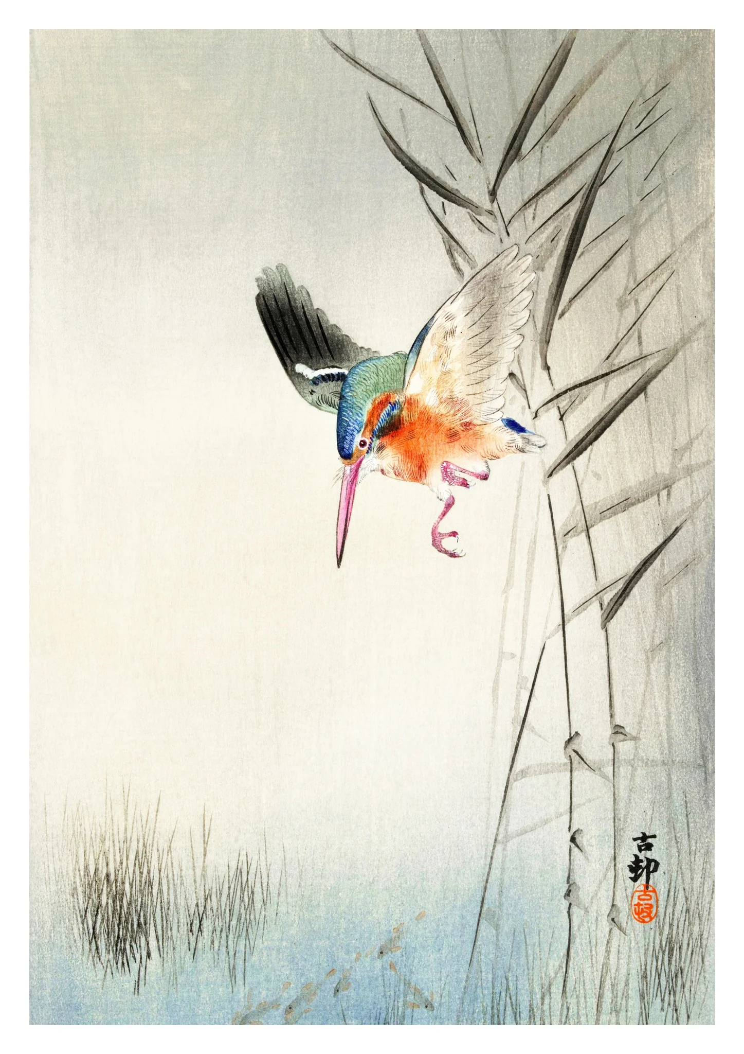 Kingfisher Hunting for Fish in the Water