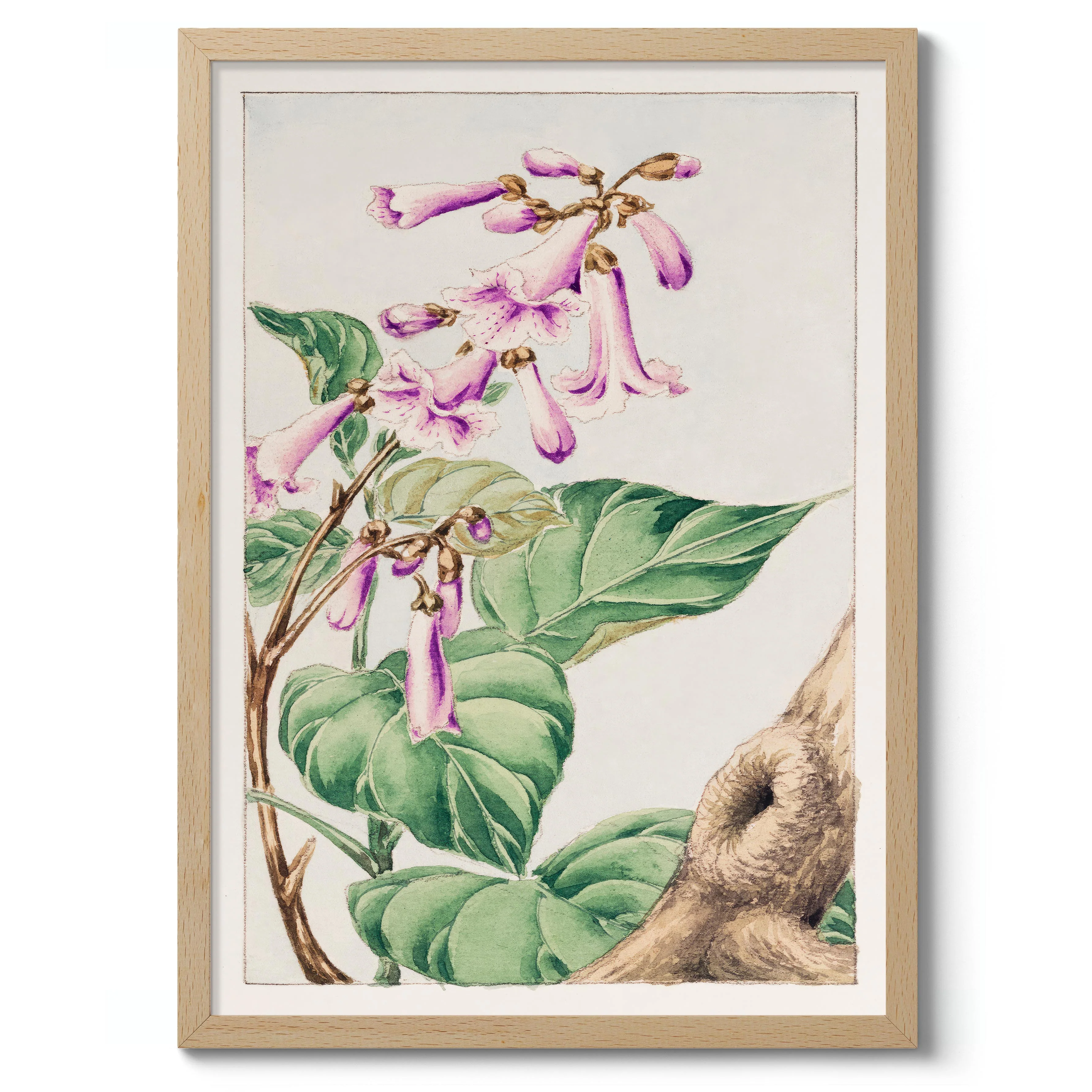 Kiri Branch - Image 3