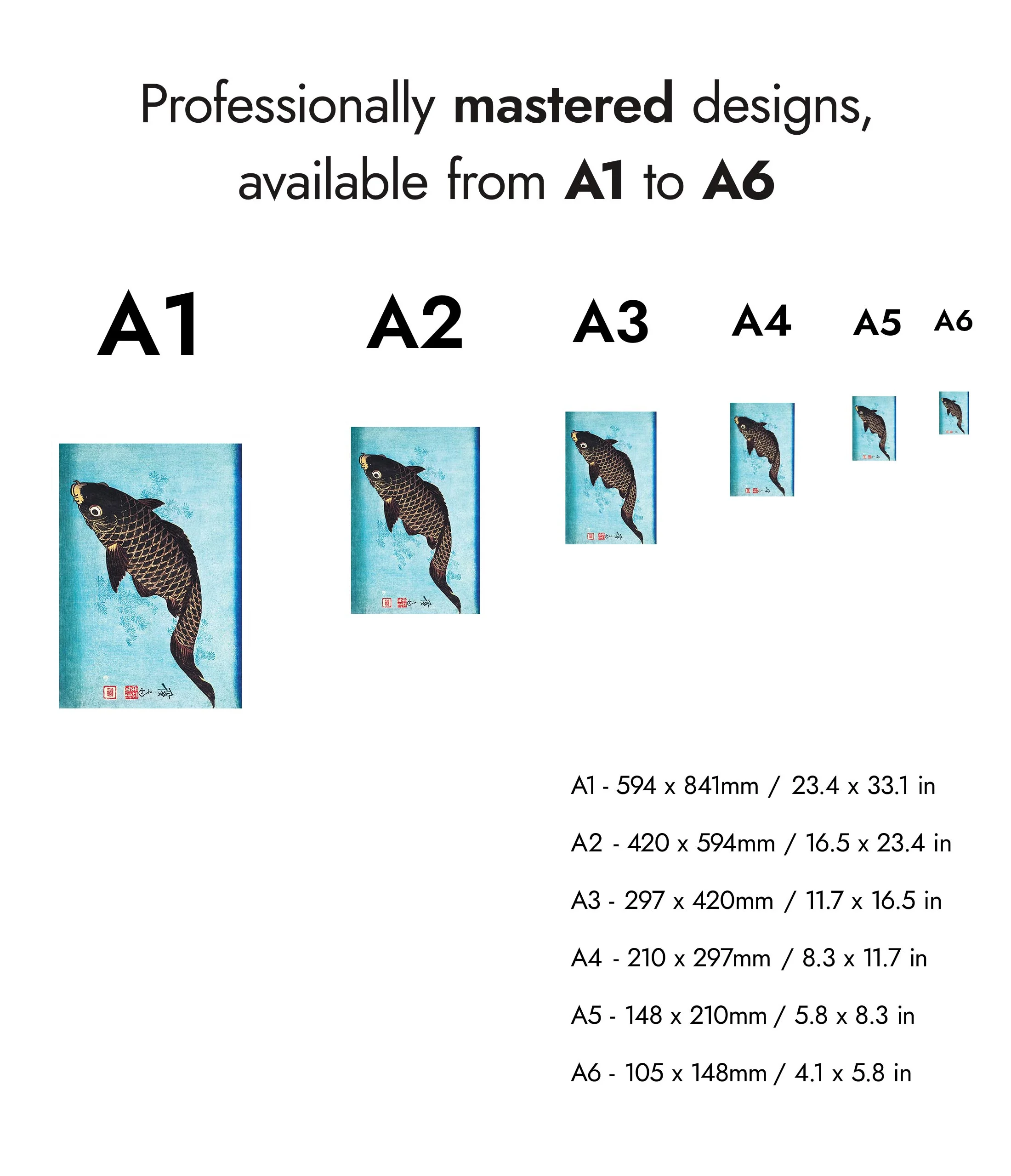 Koi - Image 8
