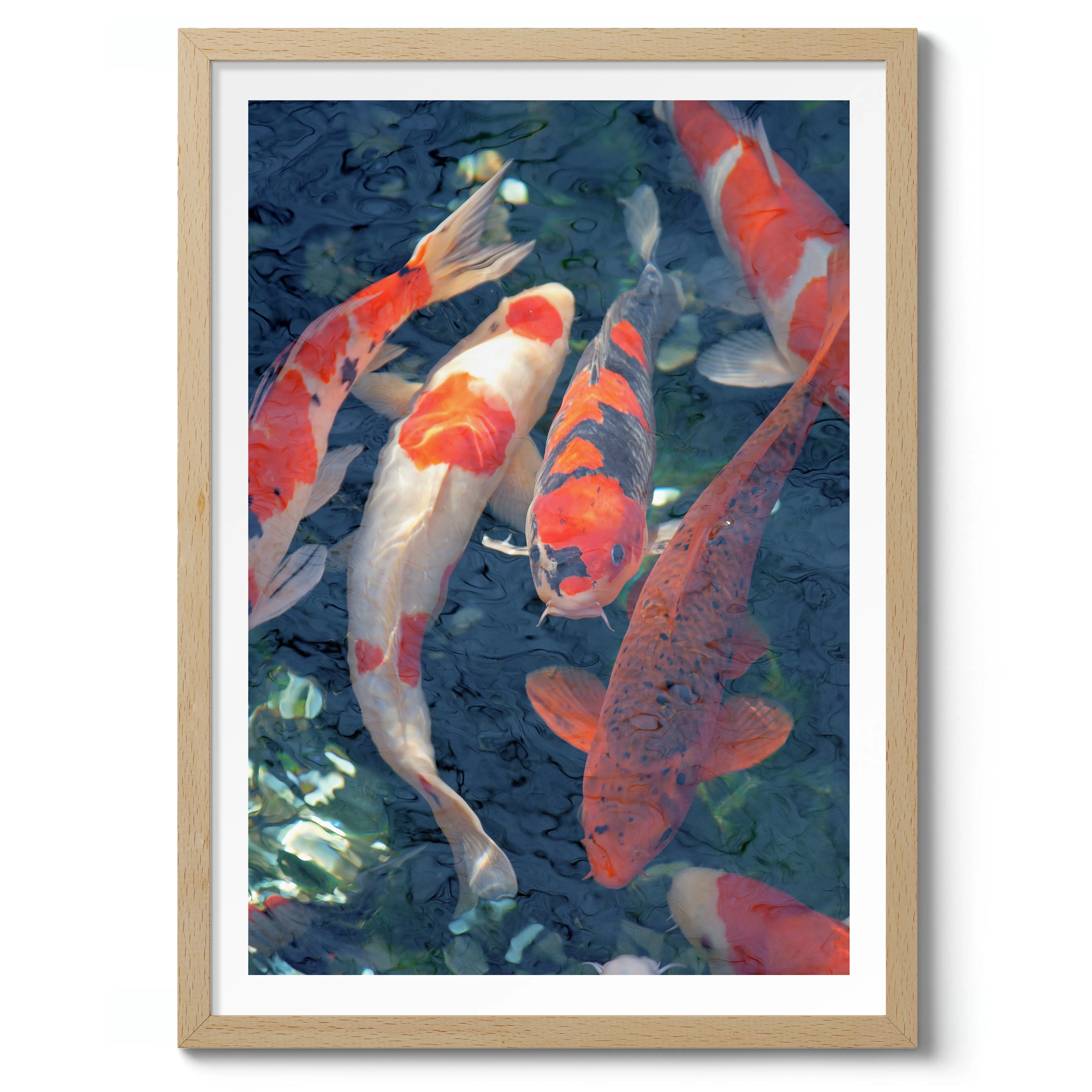 Koi Fish, Blue - Image 3
