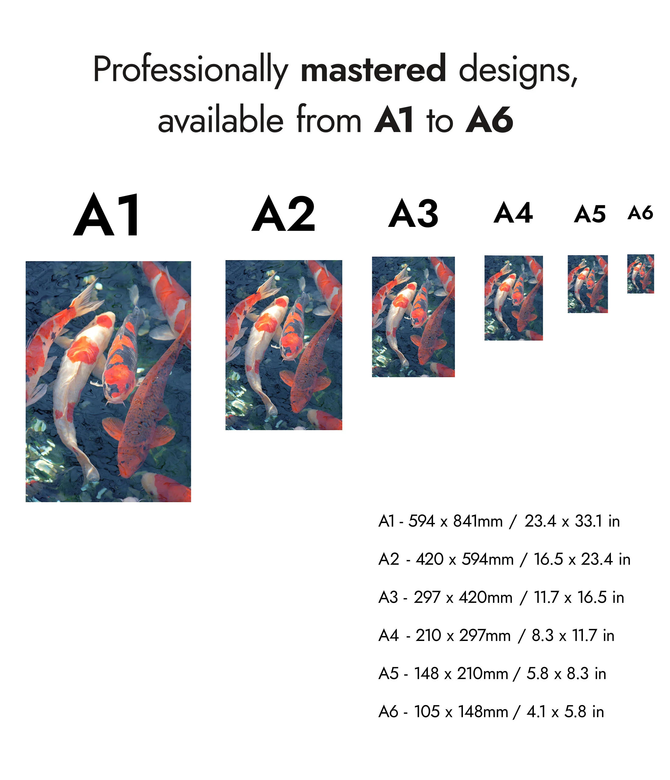 Koi Fish, Blue - Image 8