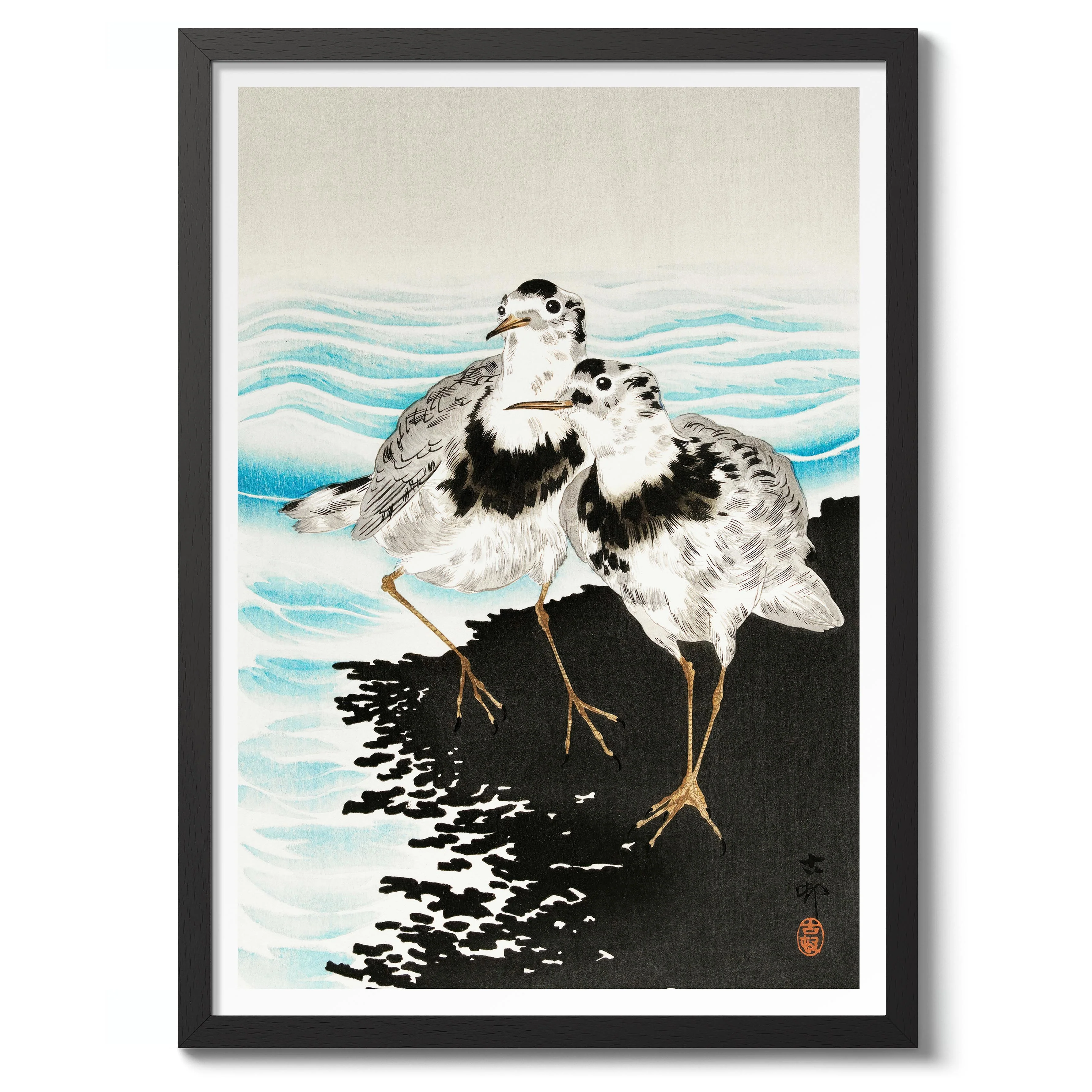 Large Coot Sandpipers - Image 2