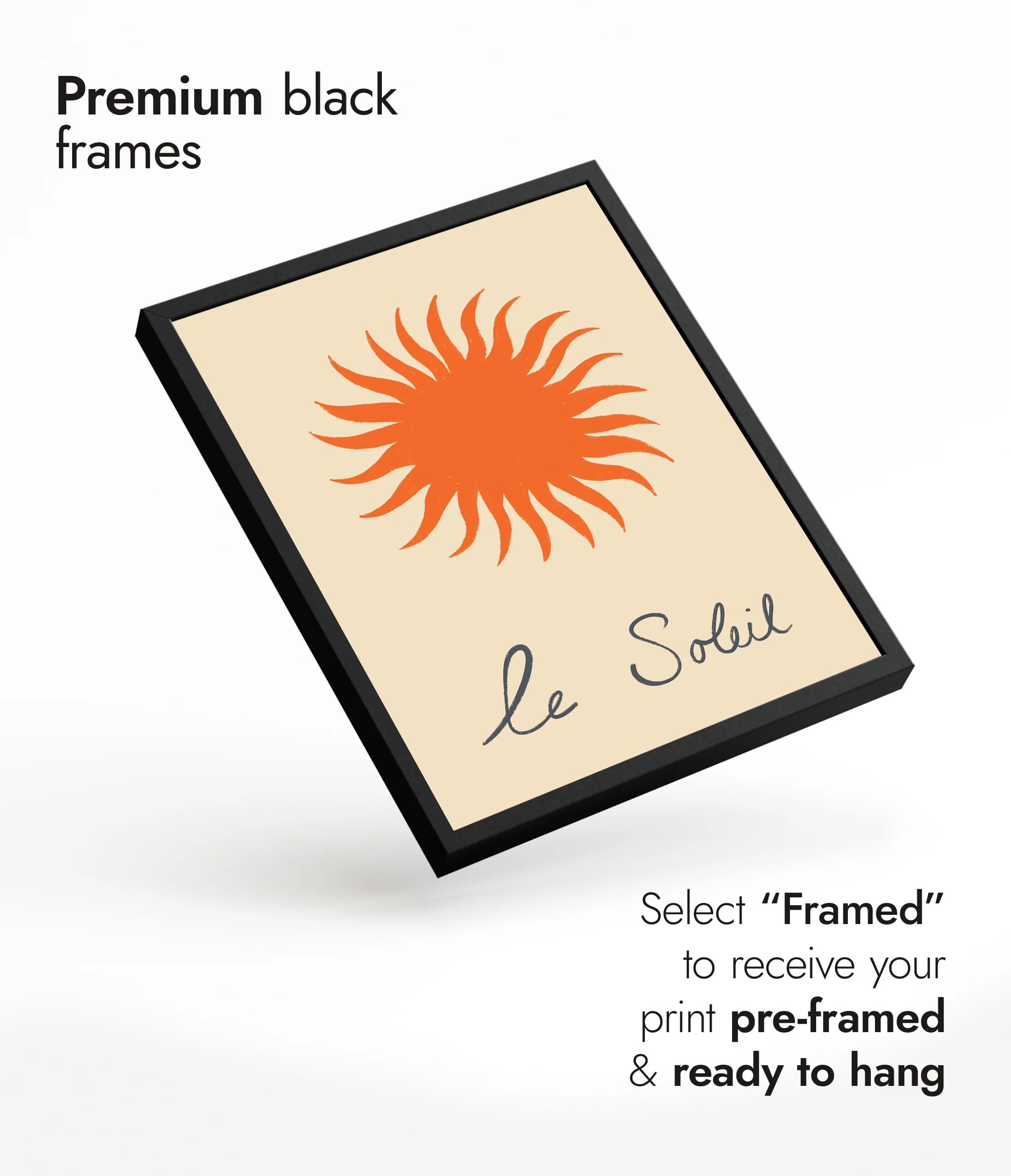 Le Soleil - Image 7